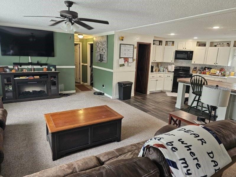17095 SE 158TH AVE, WEIRSDALE, FL, 32195