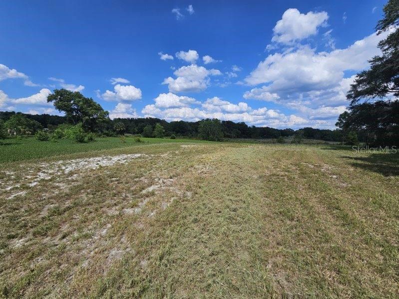 17095 SE 158TH AVE, WEIRSDALE, FL, 32195