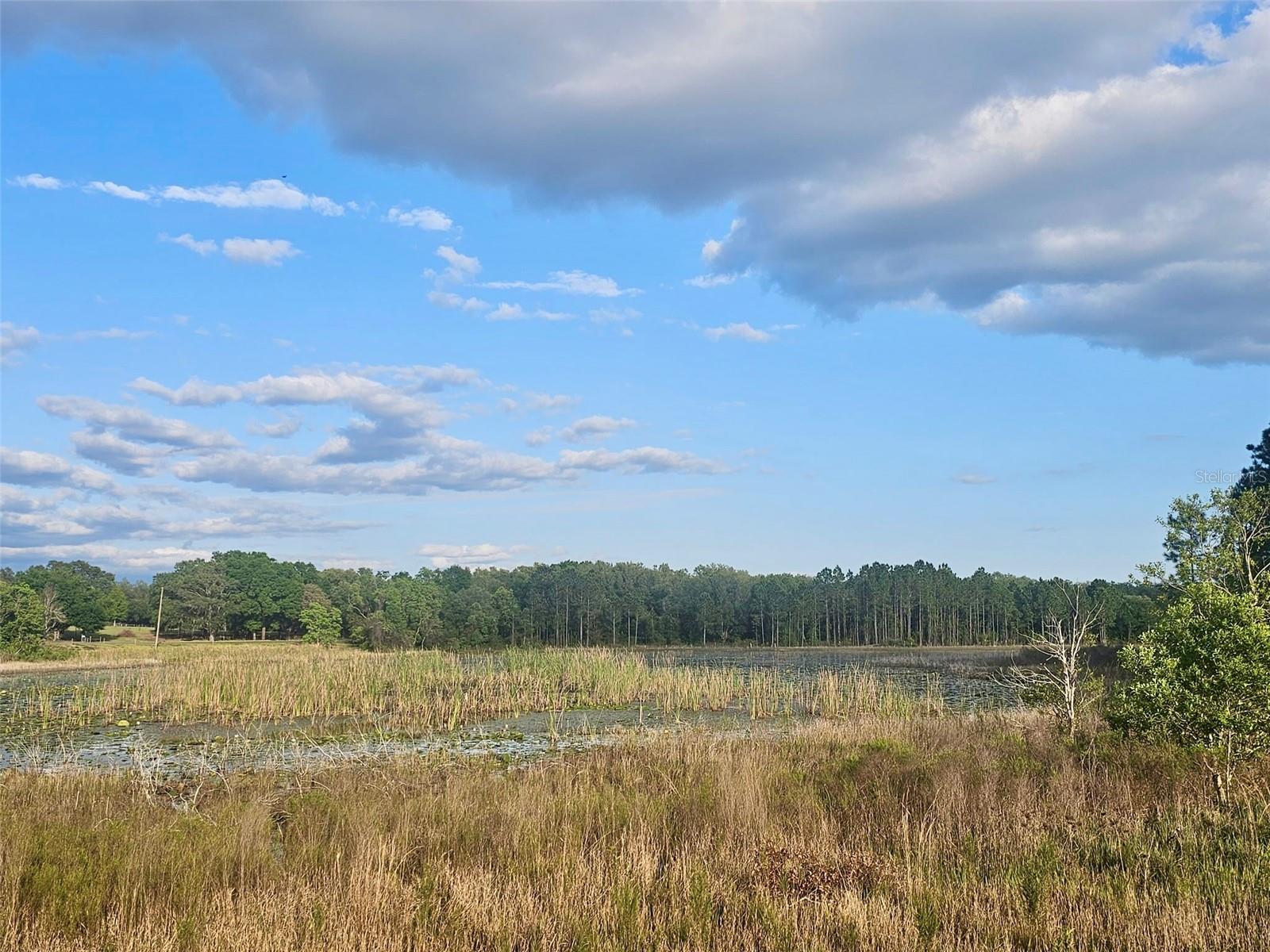 17095 SE 158TH AVE, WEIRSDALE, FL, 32195