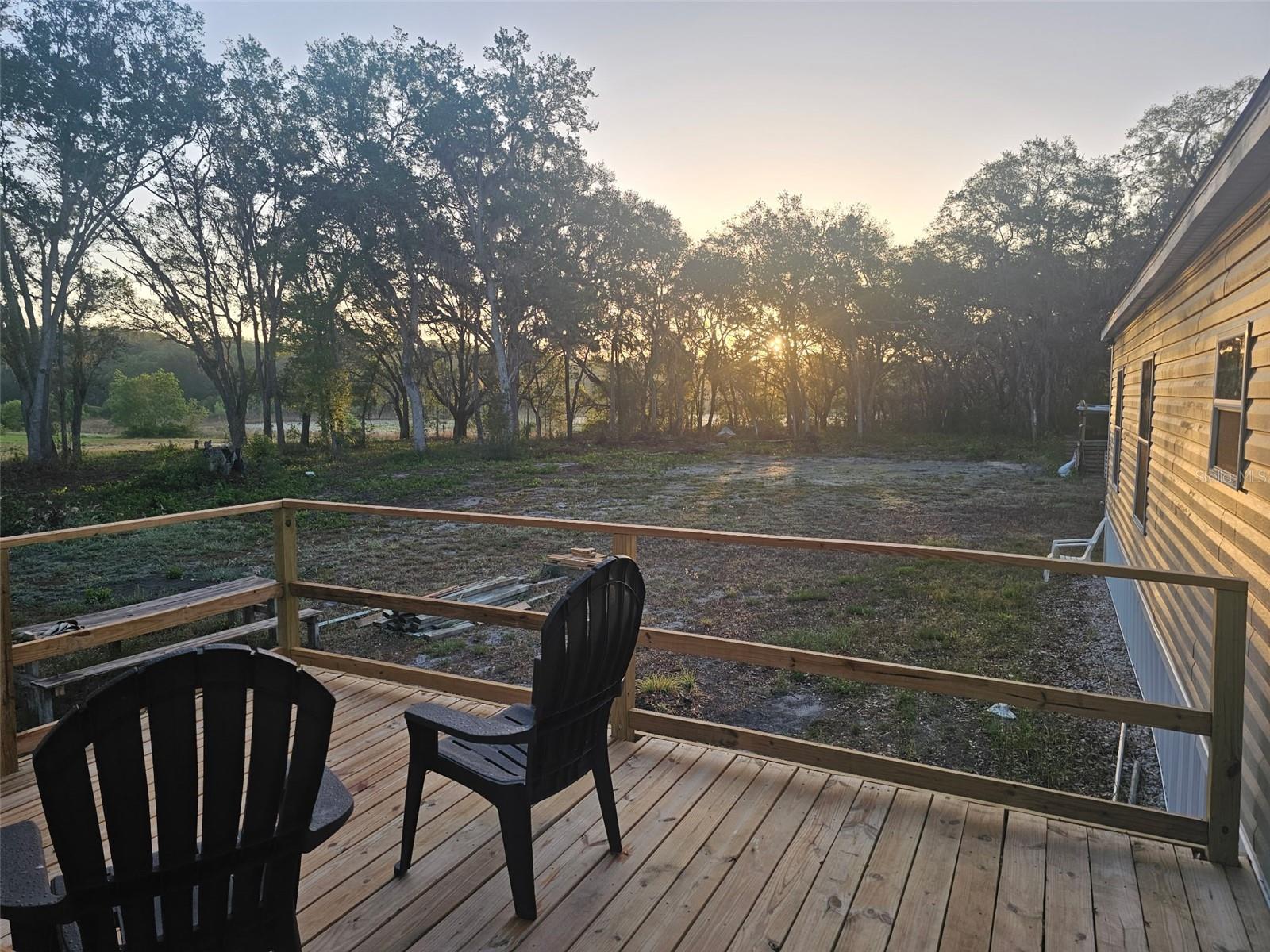 17095 SE 158TH AVE, WEIRSDALE, FL, 32195