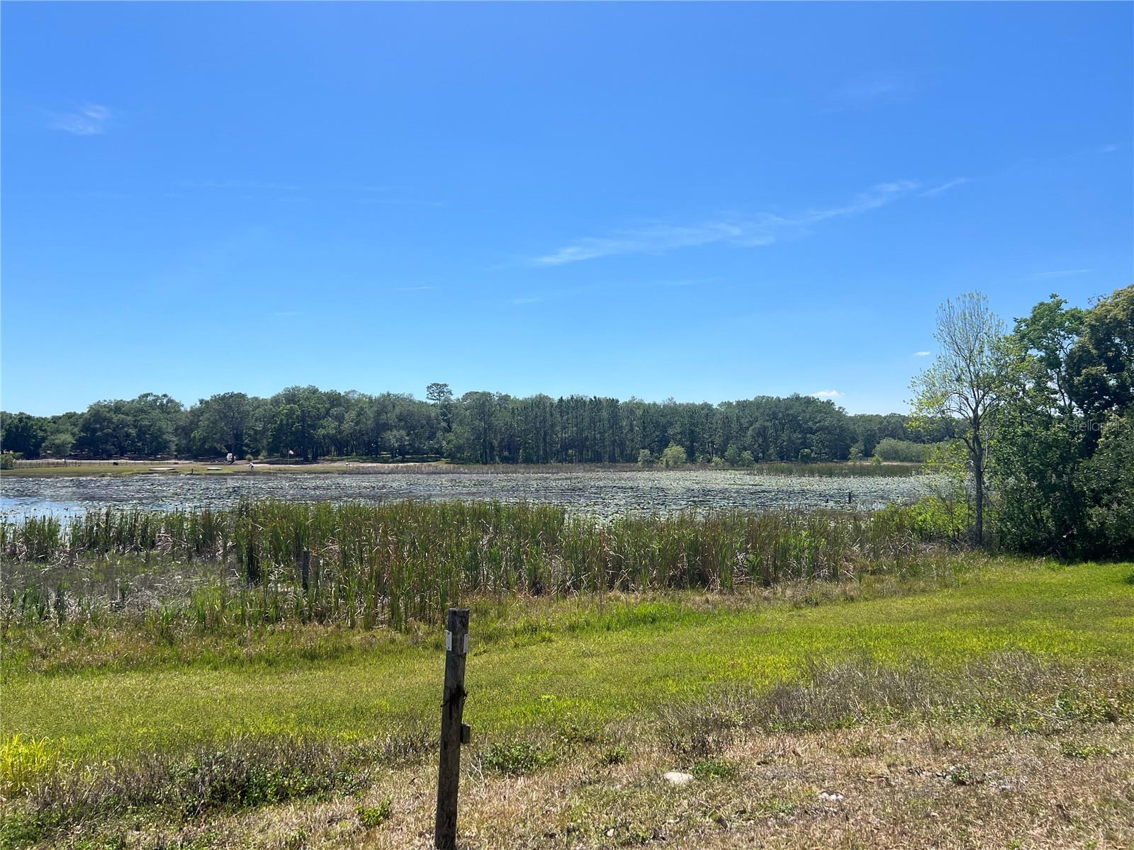 17095 SE 158TH AVE, WEIRSDALE, FL, 32195