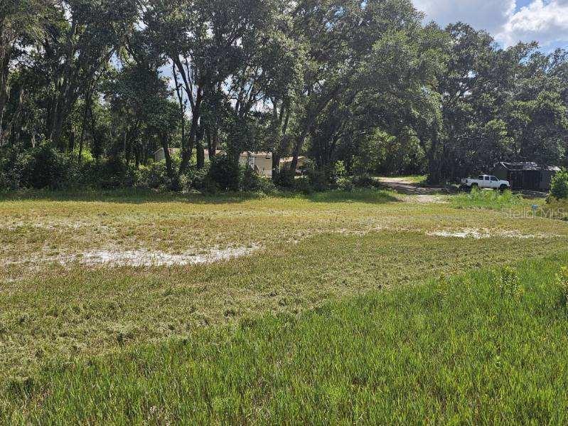 17095 SE 158TH AVE, WEIRSDALE, FL, 32195