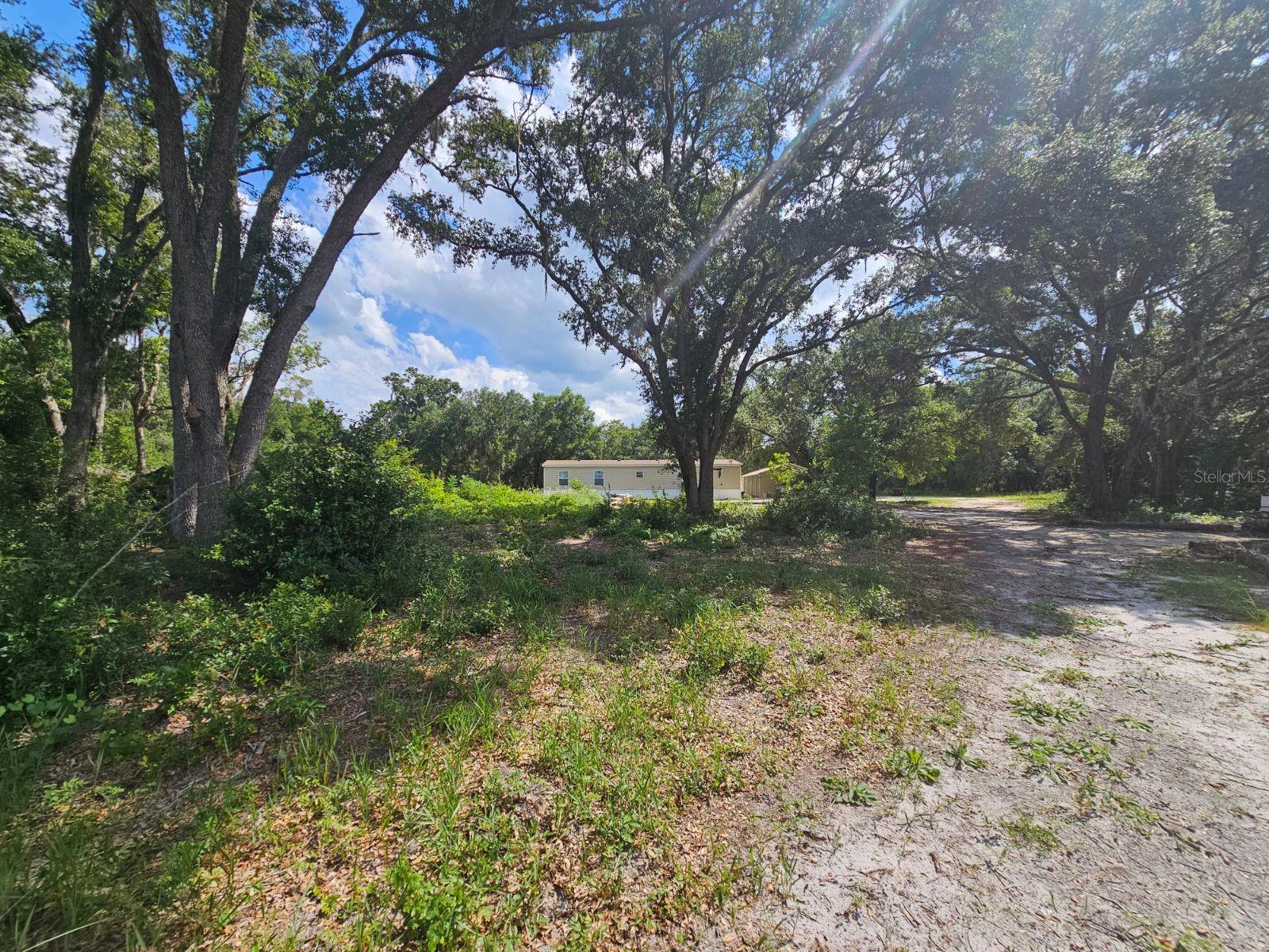 17095 SE 158TH AVE, WEIRSDALE, FL, 32195