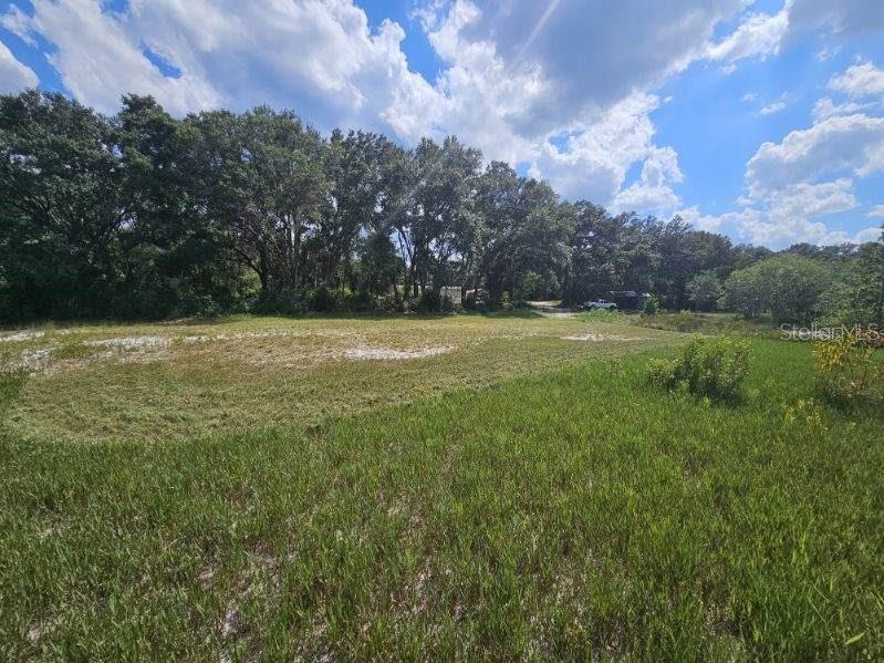17095 SE 158TH AVE, WEIRSDALE, FL, 32195