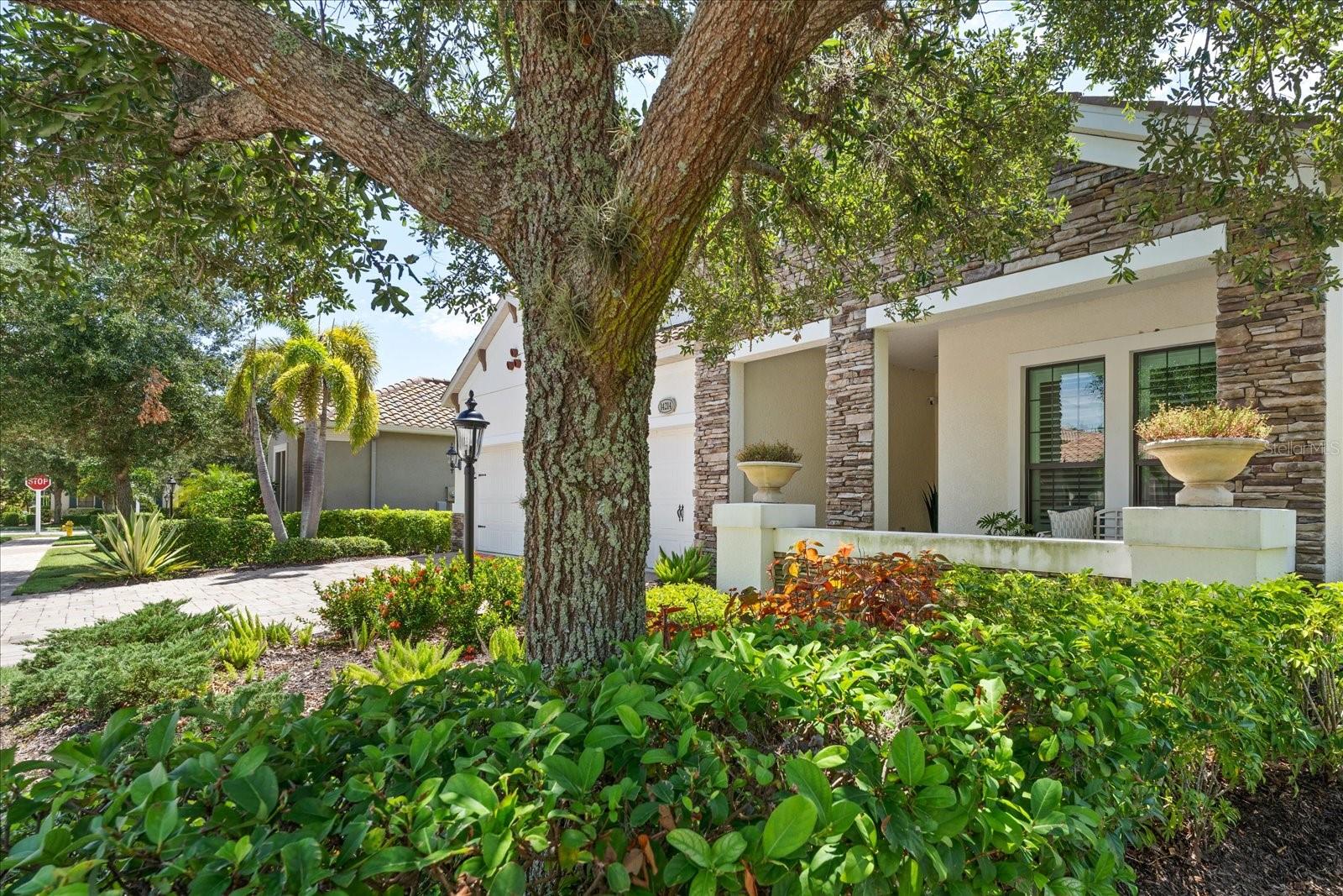 14214 BATHGATE TER, LAKEWOOD RANCH, FL, 34202