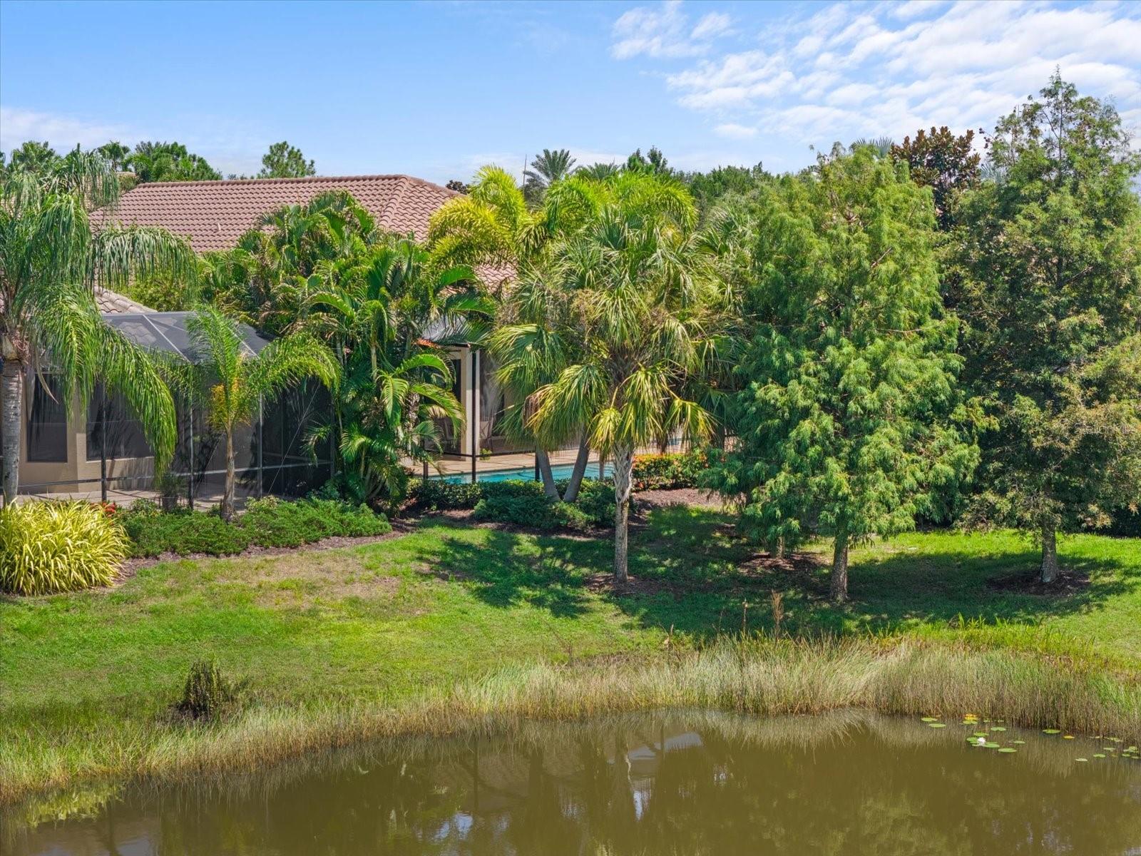 14214 BATHGATE TER, LAKEWOOD RANCH, FL, 34202