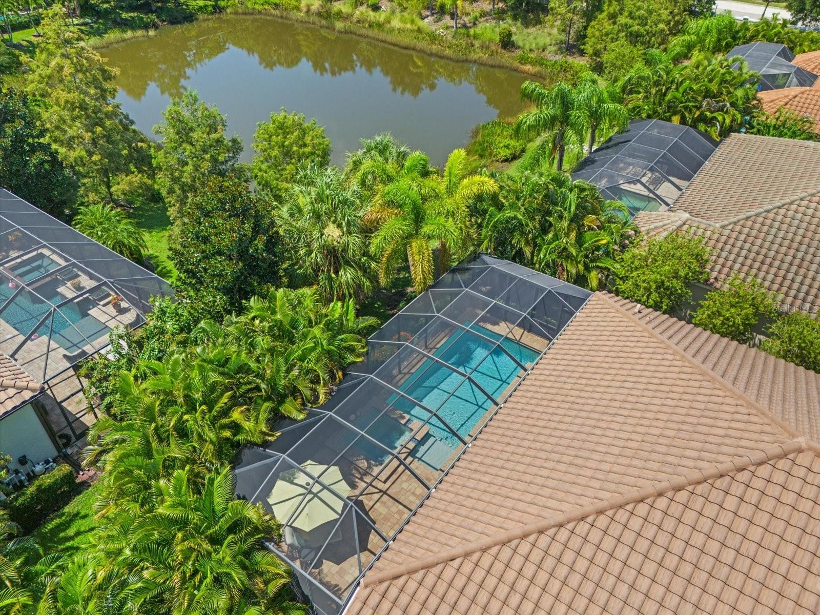 14214 BATHGATE TER, LAKEWOOD RANCH, FL, 34202