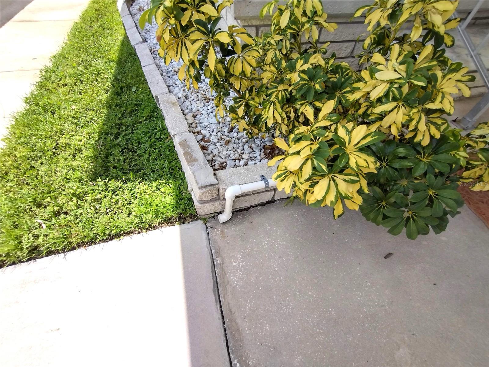 82203 F ST N #203, PINELLAS PARK, FL, 33781