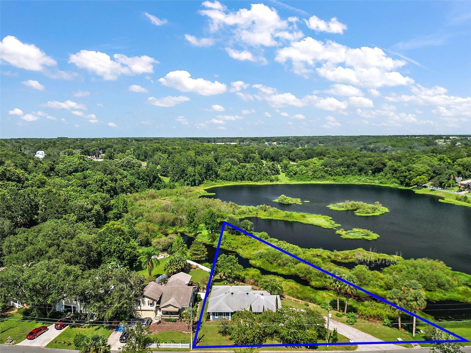 1311 E 5TH AVE, MOUNT DORA, FL, 32757