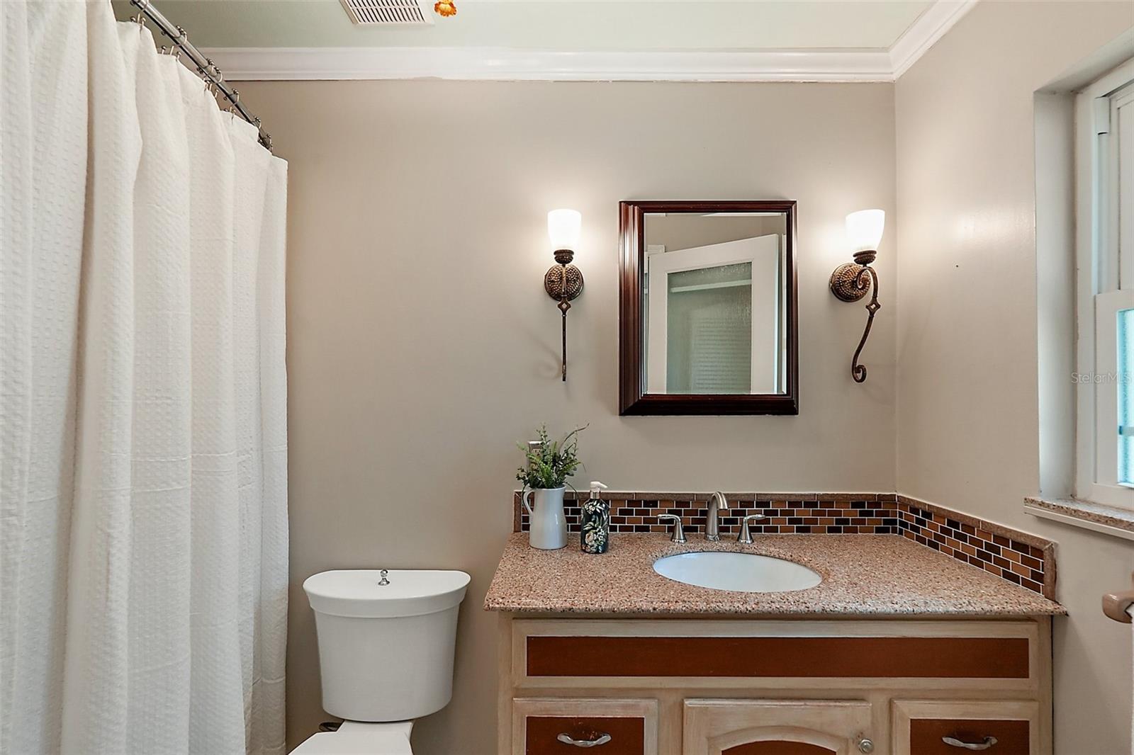 1311 E 5TH AVE, MOUNT DORA, FL, 32757