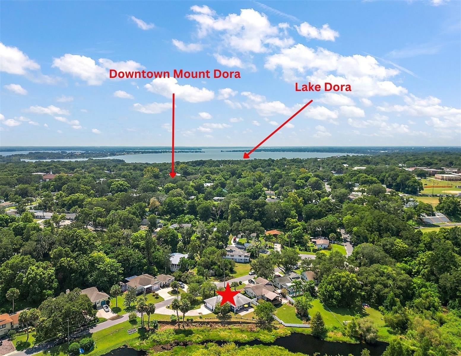 1311 E 5TH AVE, MOUNT DORA, FL, 32757