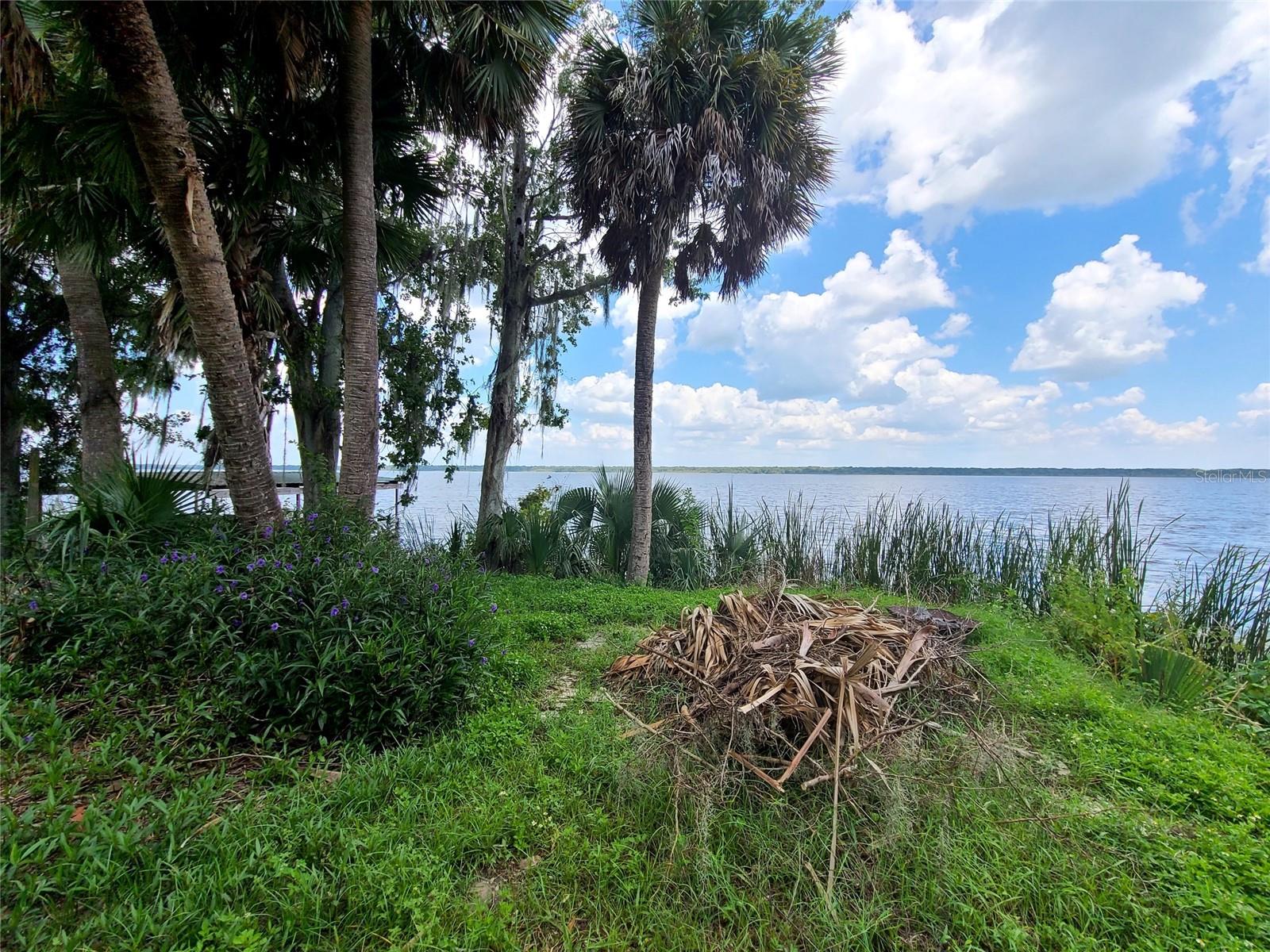 1211 CR 436, LAKE PANASOFFKEE, FL, 33538