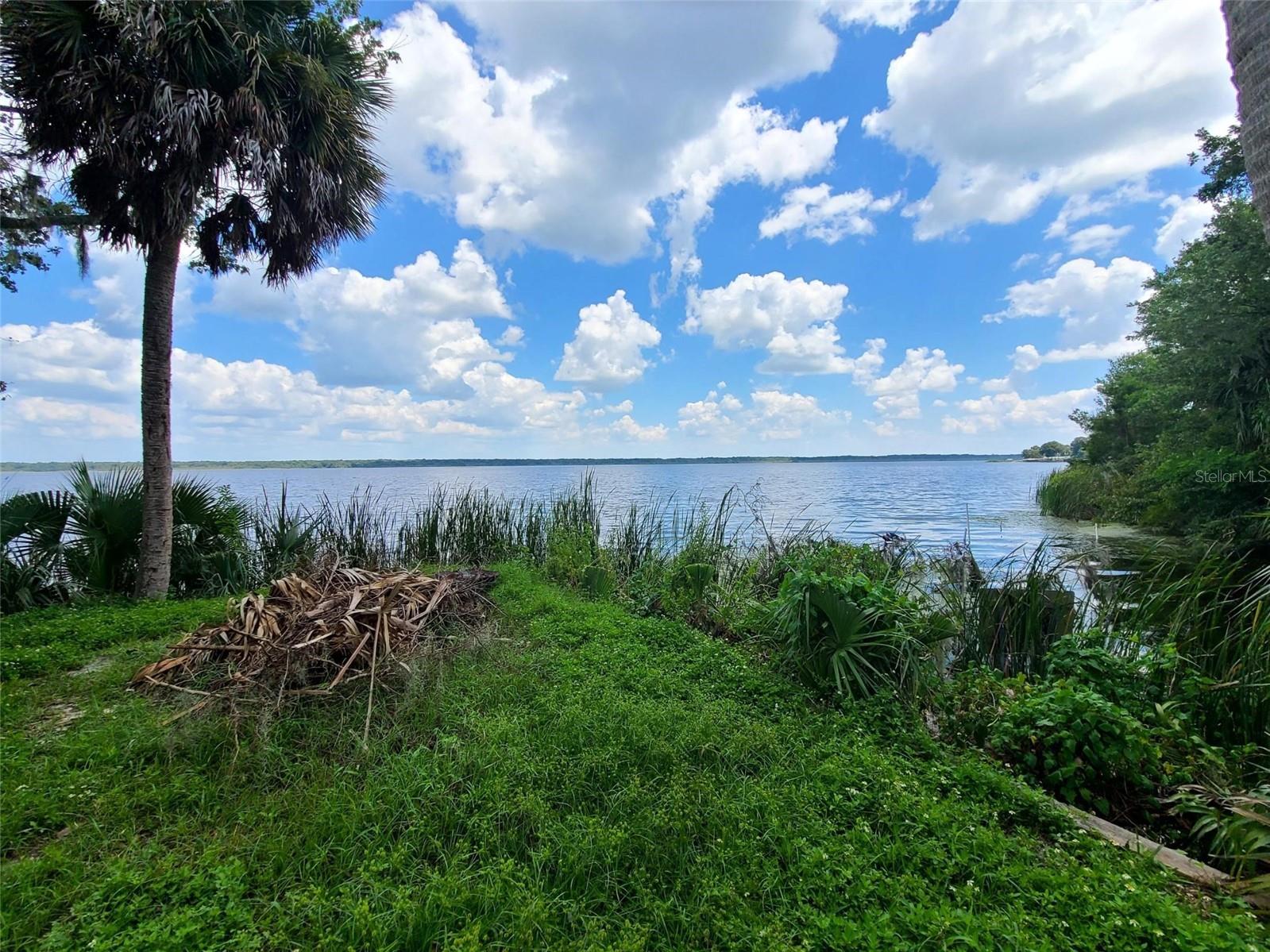 1211 CR 436, LAKE PANASOFFKEE, FL, 33538