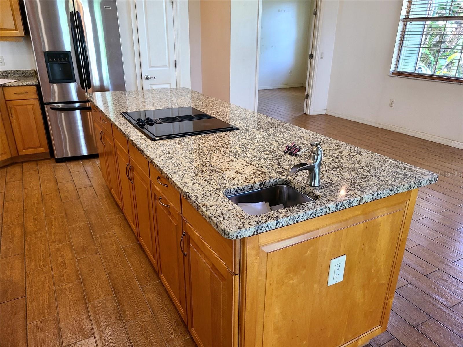 1211 CR 436, LAKE PANASOFFKEE, FL, 33538