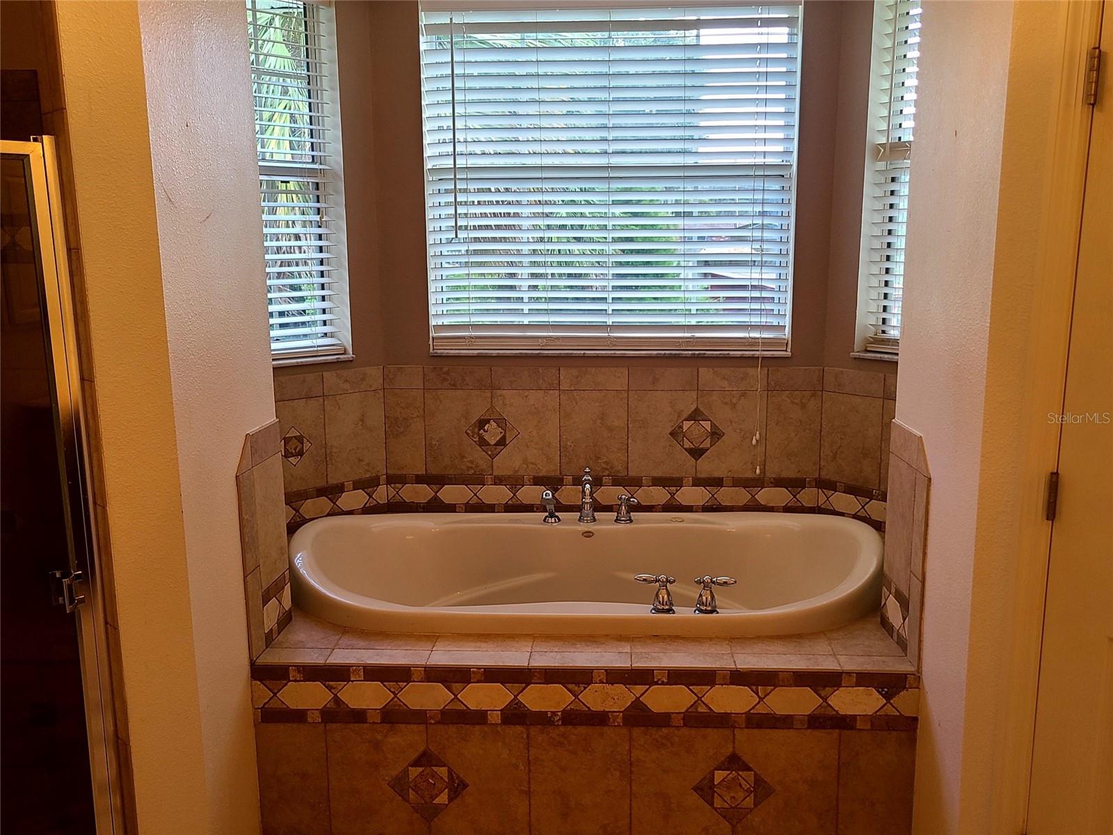 1211 CR 436, LAKE PANASOFFKEE, FL, 33538