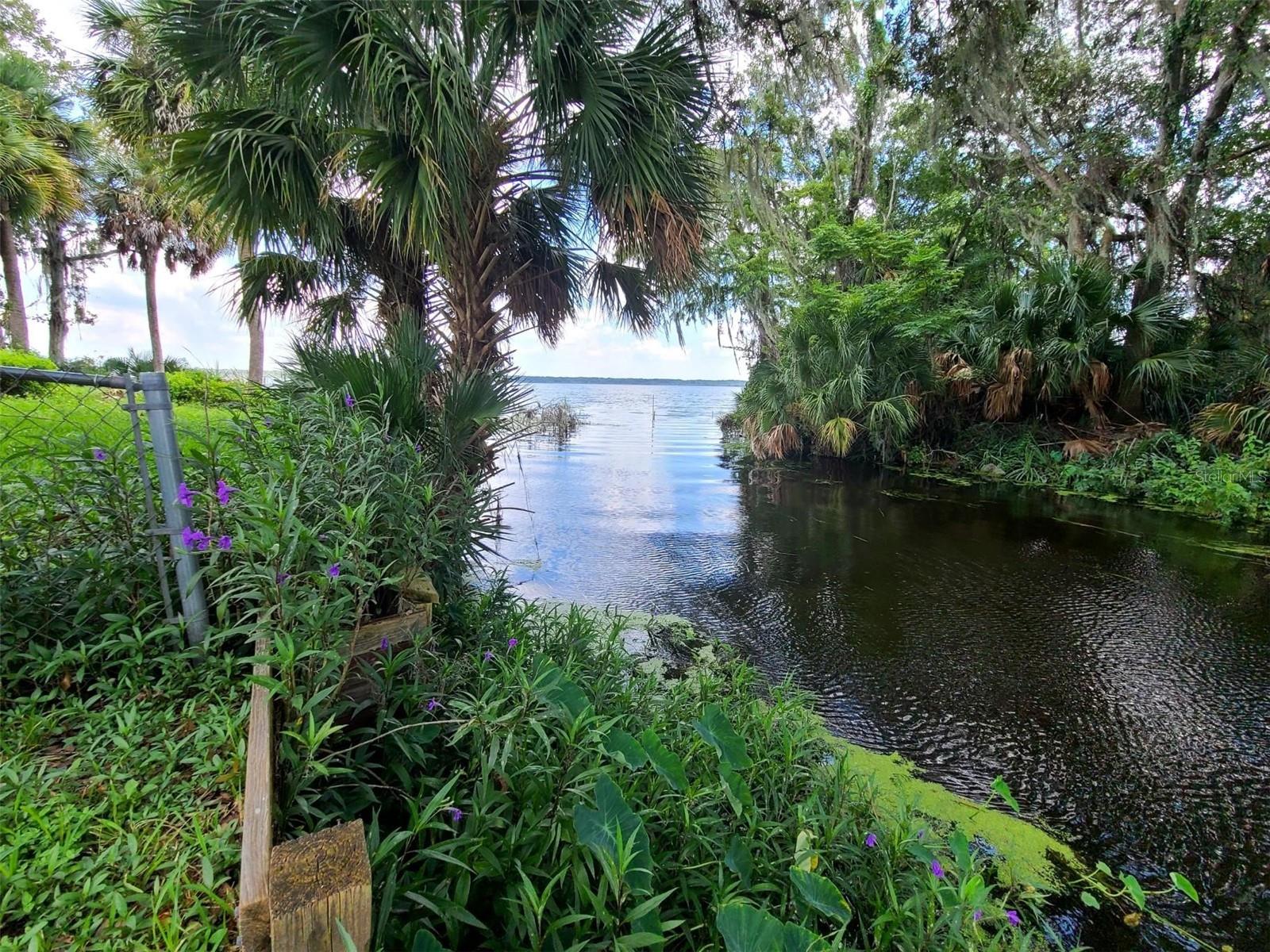 1211 CR 436, LAKE PANASOFFKEE, FL, 33538