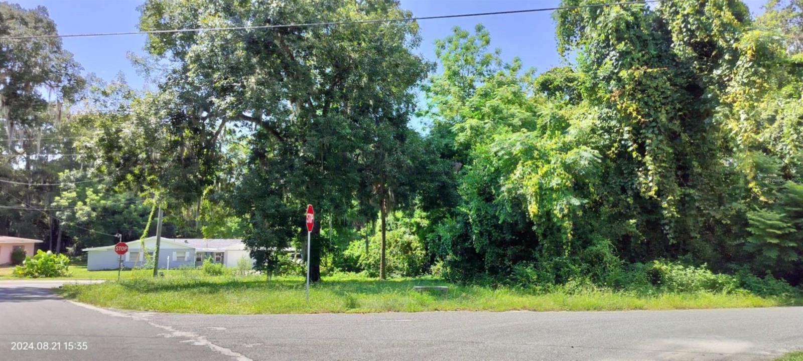 1980 S TSALA TER, INVERNESS, FL, 34450