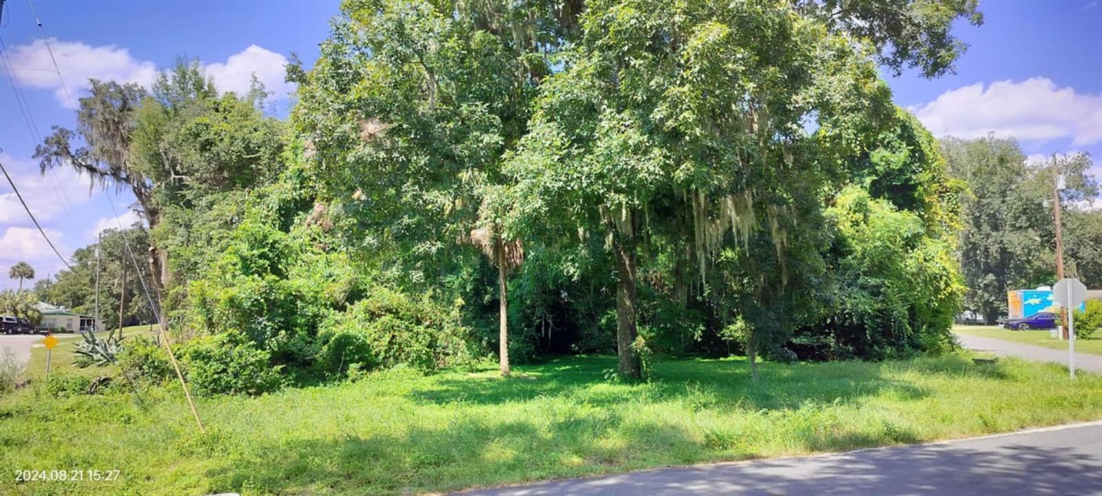 1980 S TSALA TER, INVERNESS, FL, 34450