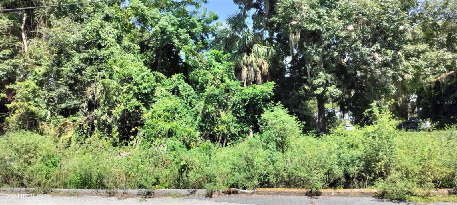 1980 S TSALA TER, INVERNESS, FL, 34450
