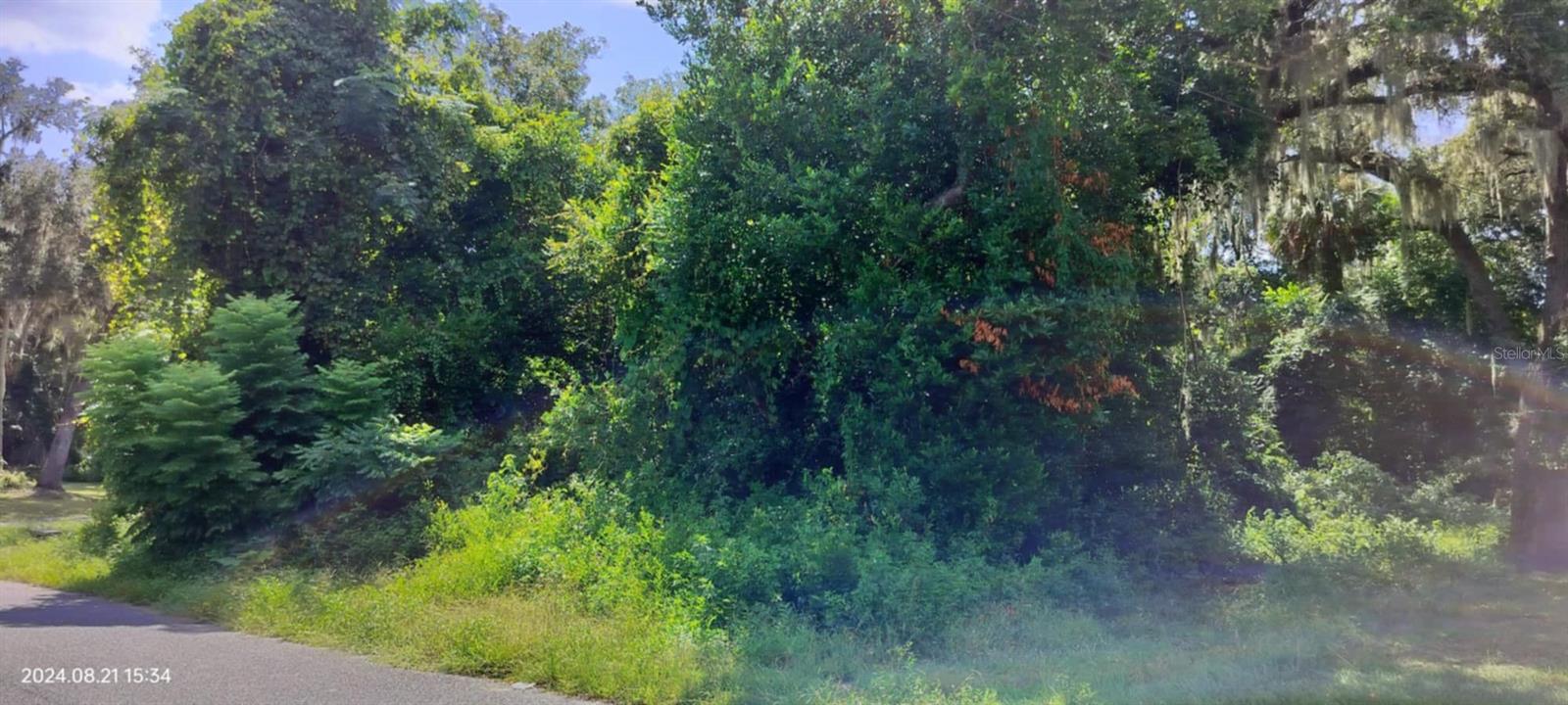 1980 S TSALA TER, INVERNESS, FL, 34450
