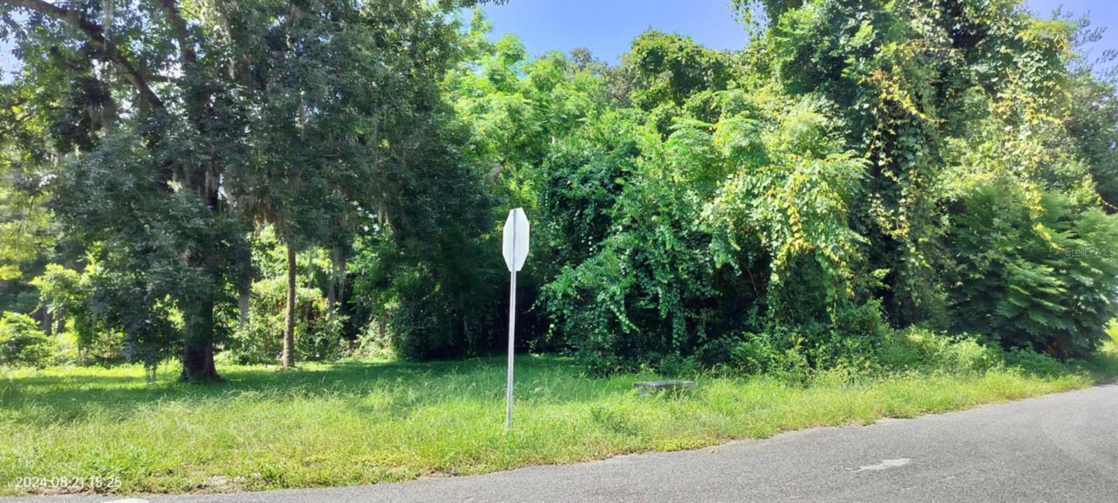 1980 S TSALA TER, INVERNESS, FL, 34450