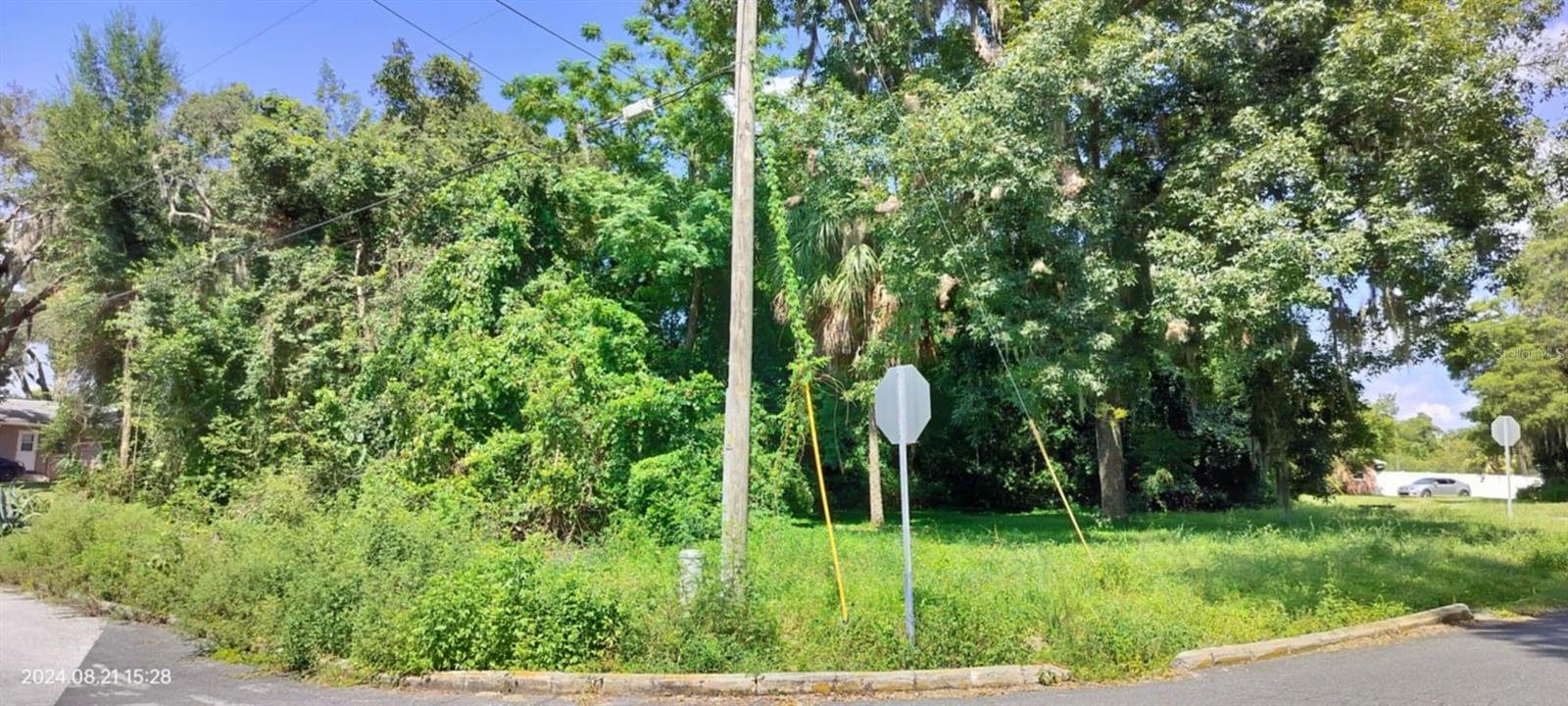 1980 S TSALA TER, INVERNESS, FL, 34450