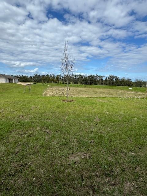 27417 BLACK KITE AVE, HOWEY IN THE HILLS, FL, 34737