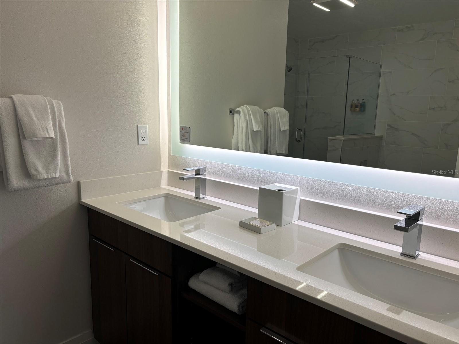 14501 GROVE RESORT AVE #2411, WINTER GARDEN, FL, 34787