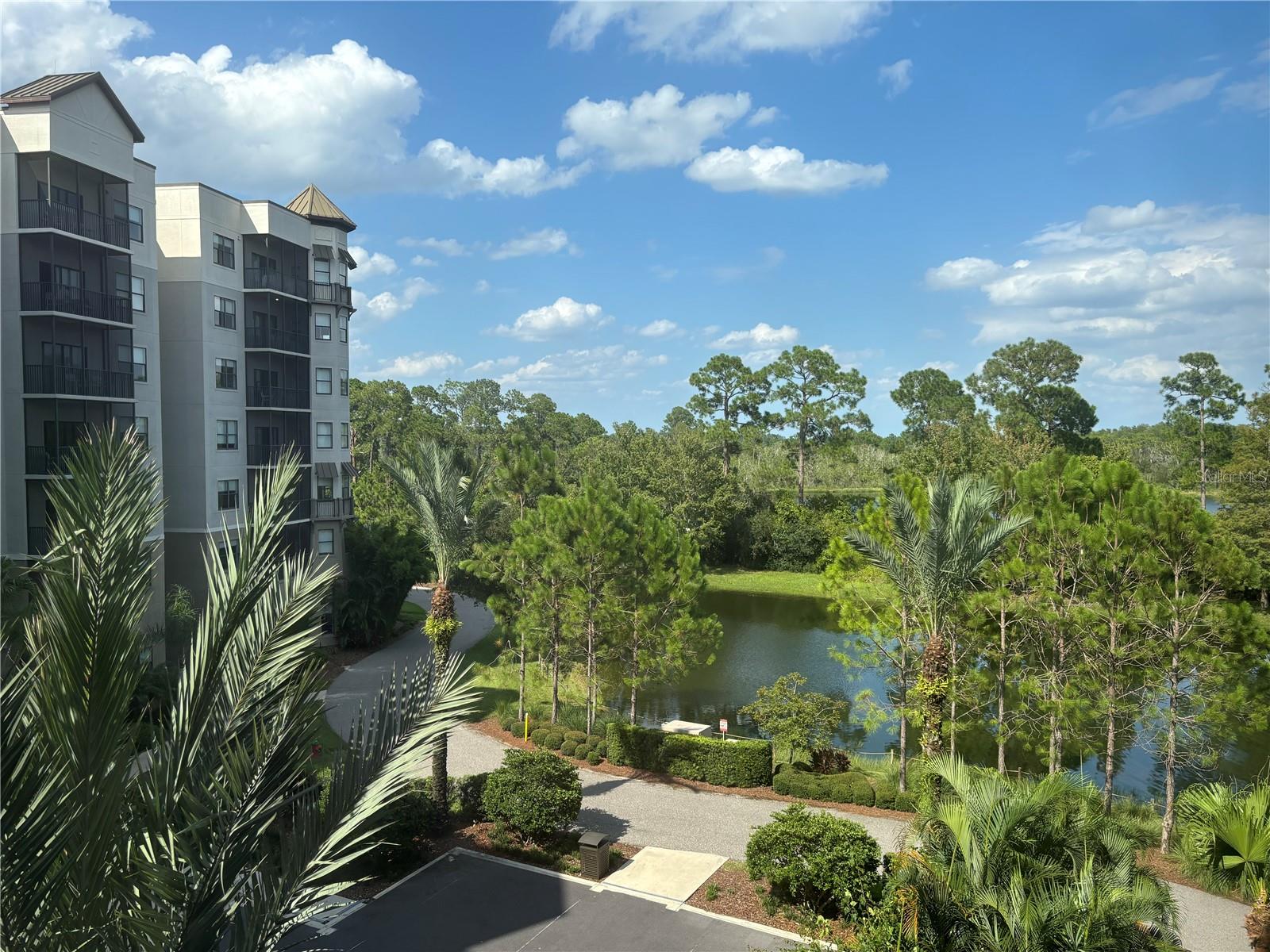 14501 GROVE RESORT AVE #2411, WINTER GARDEN, FL, 34787
