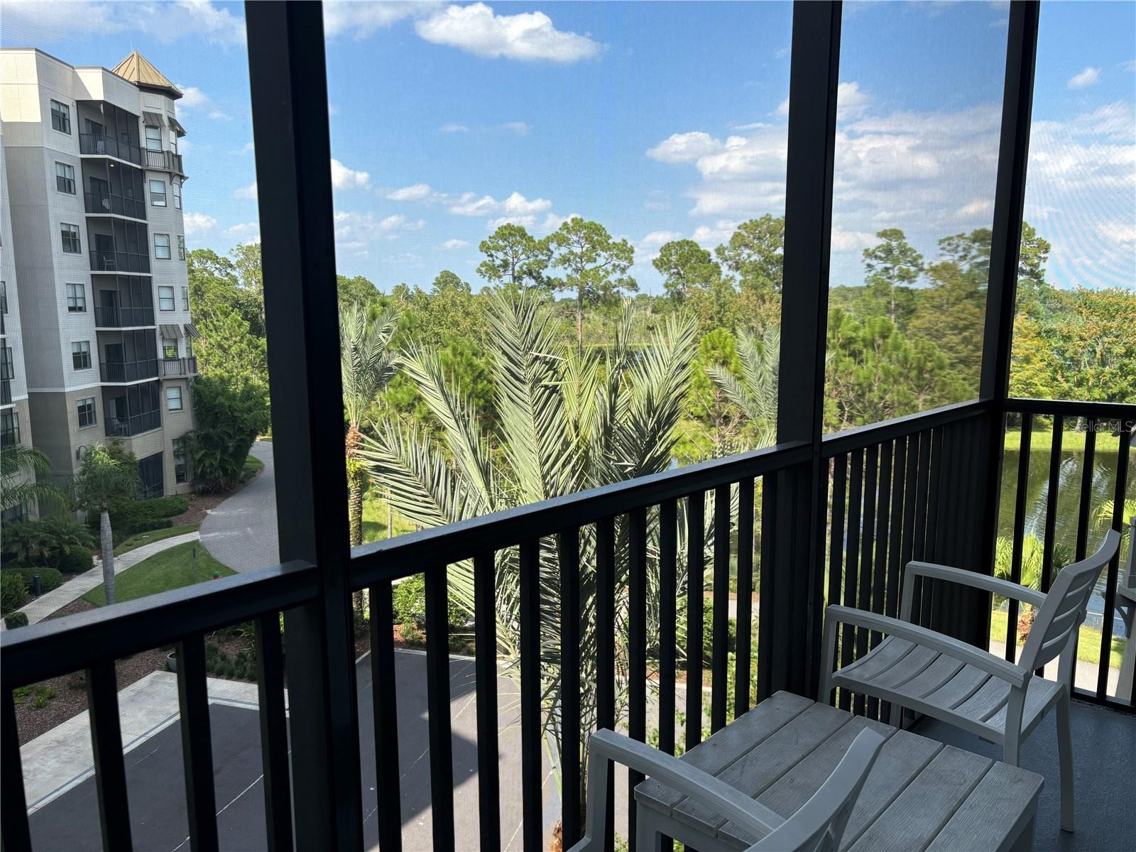 14501 GROVE RESORT AVE #2411, WINTER GARDEN, FL, 34787