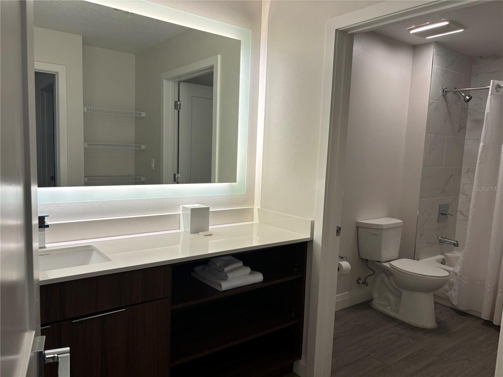 14501 GROVE RESORT AVE #2411, WINTER GARDEN, FL, 34787