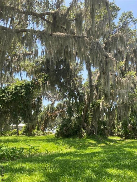 14807 ANDALUSIA TRL, BUNNELL, FL, 32110