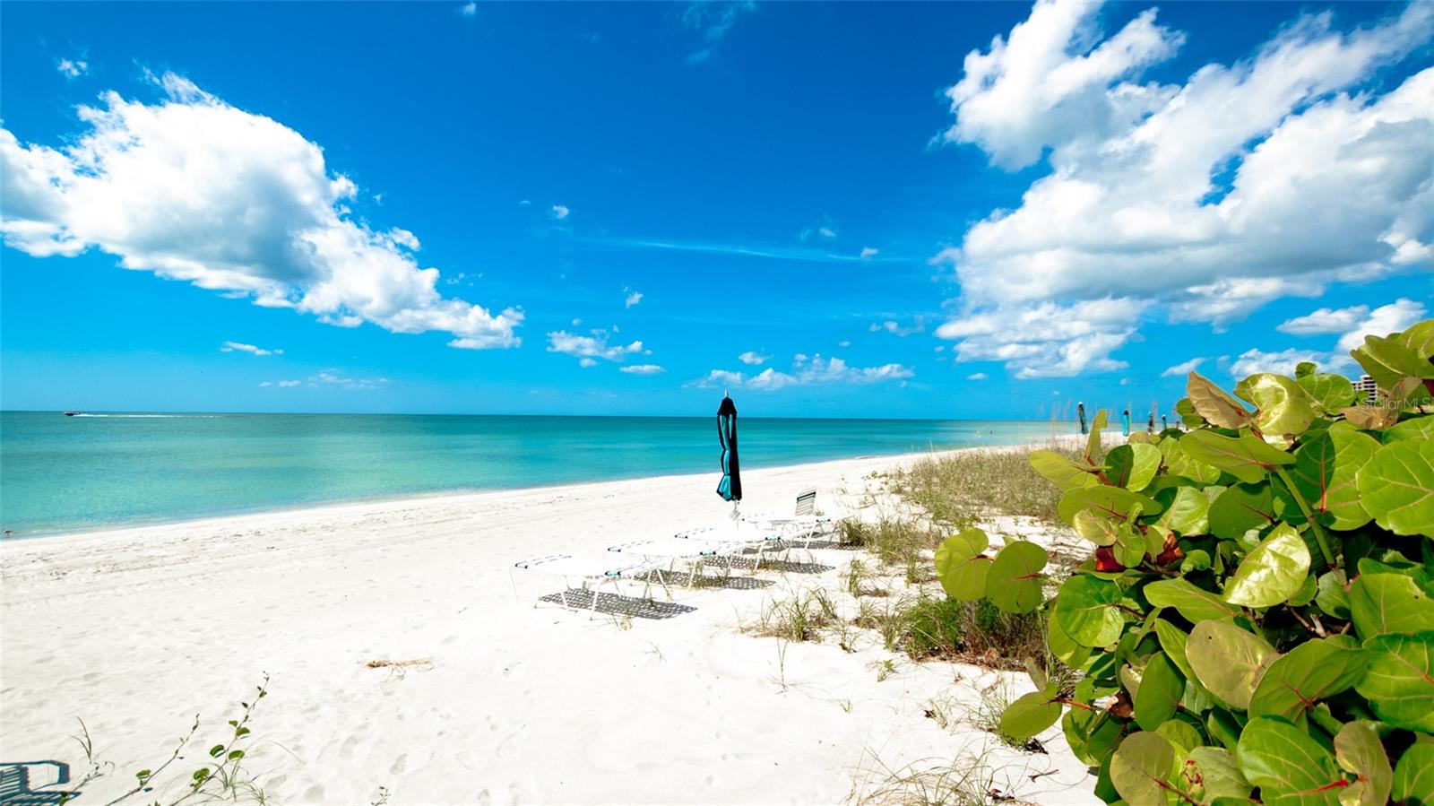 1000 LONGBOAT CLUB ROAD #1103, LONGBOAT KEY, FL, 34228