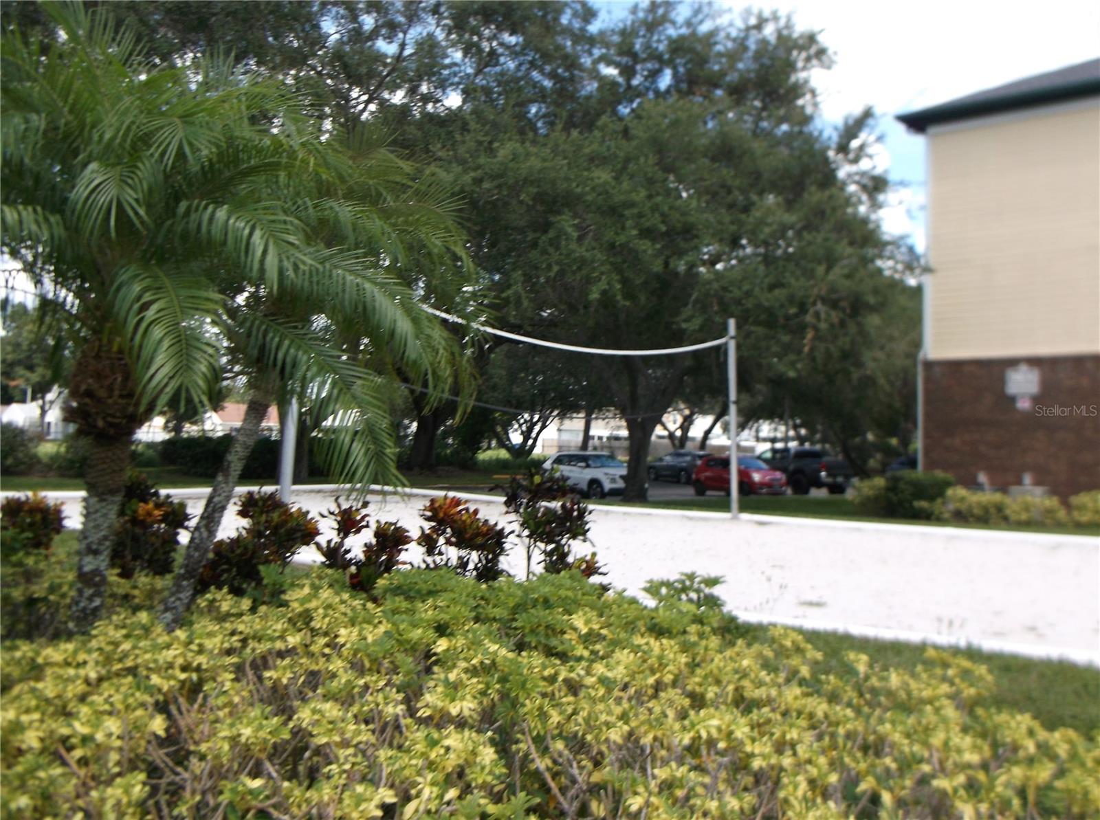 10122 WINSFORD OAK BLVD #419, TAMPA, FL, 33624