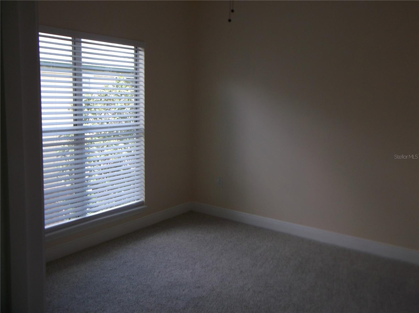 10122 WINSFORD OAK BLVD #419, TAMPA, FL, 33624