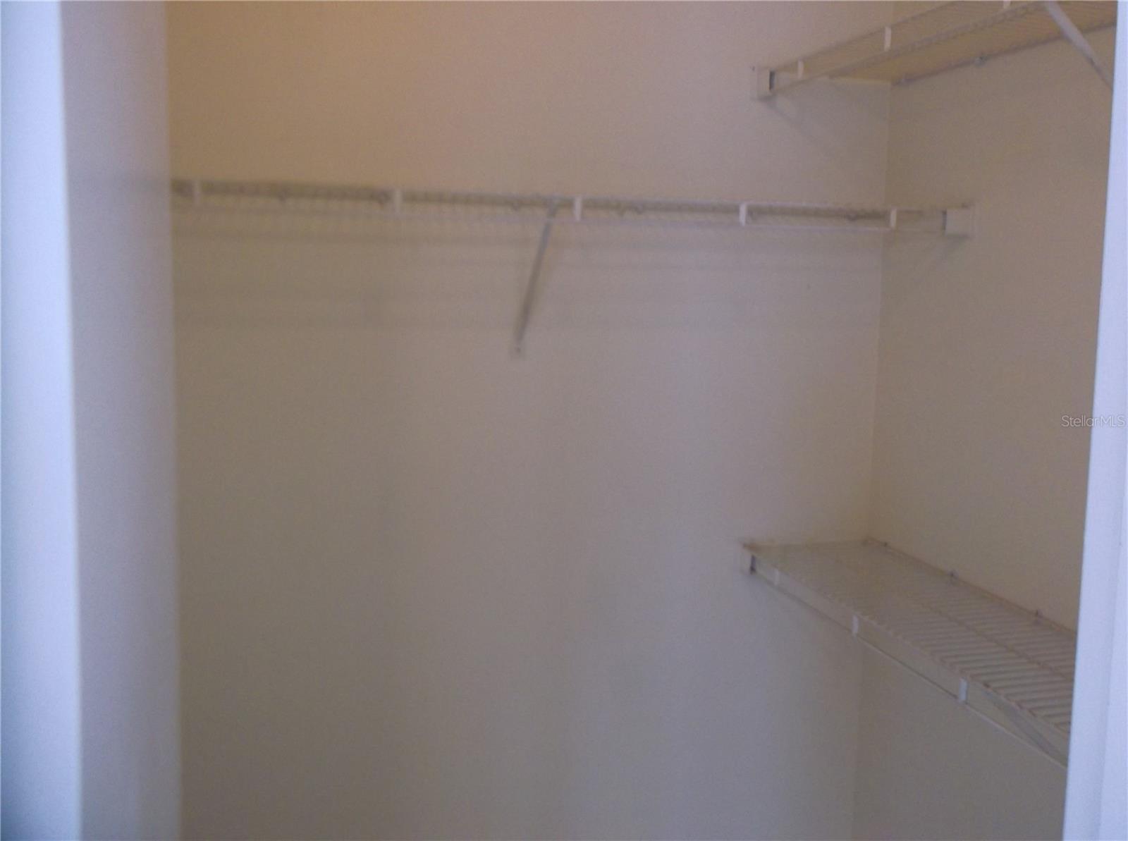 10122 WINSFORD OAK BLVD #419, TAMPA, FL, 33624