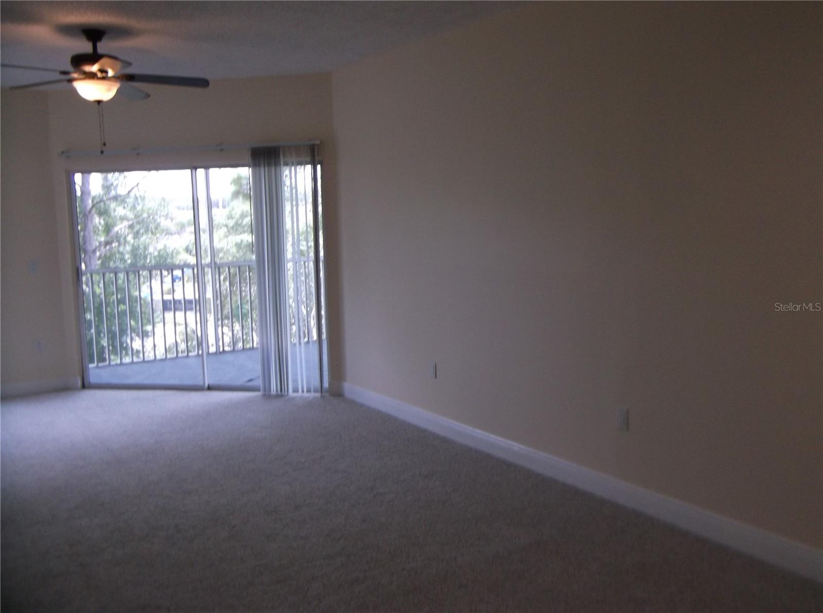 10122 WINSFORD OAK BLVD #419, TAMPA, FL, 33624