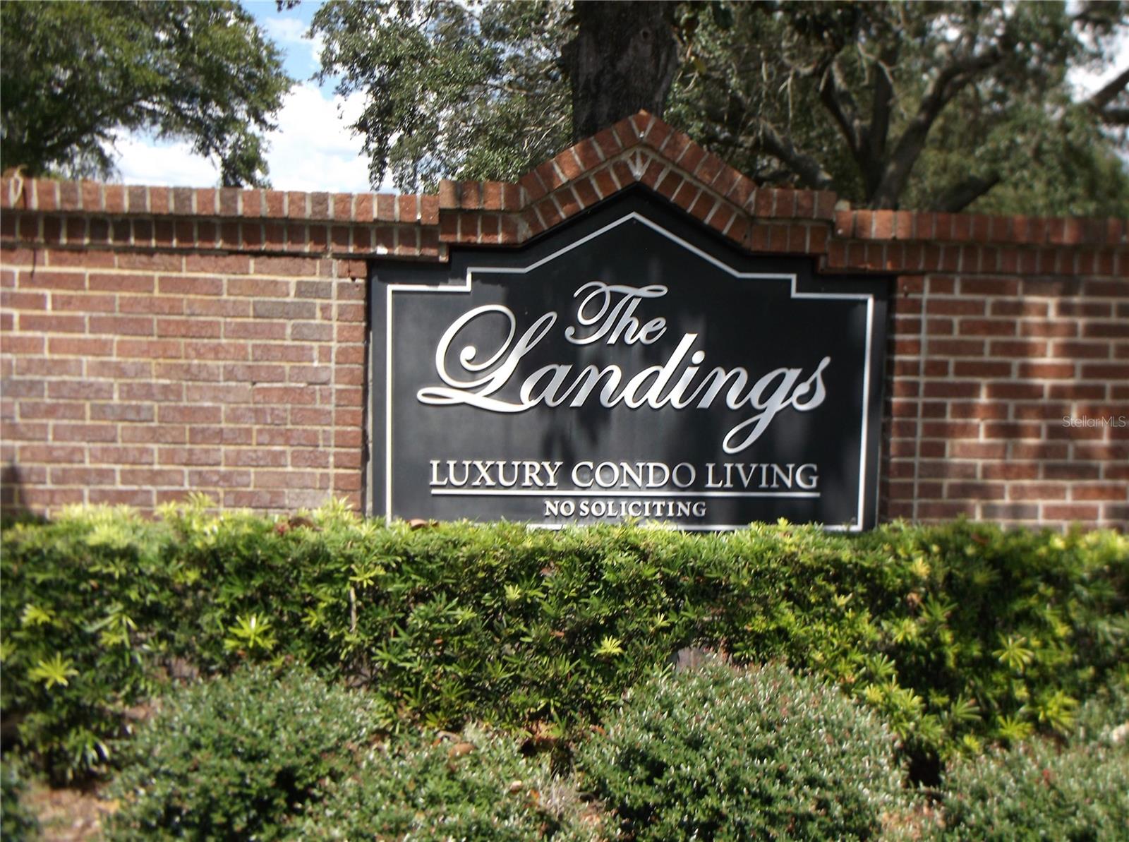 10122 WINSFORD OAK BLVD #419, TAMPA, FL, 33624