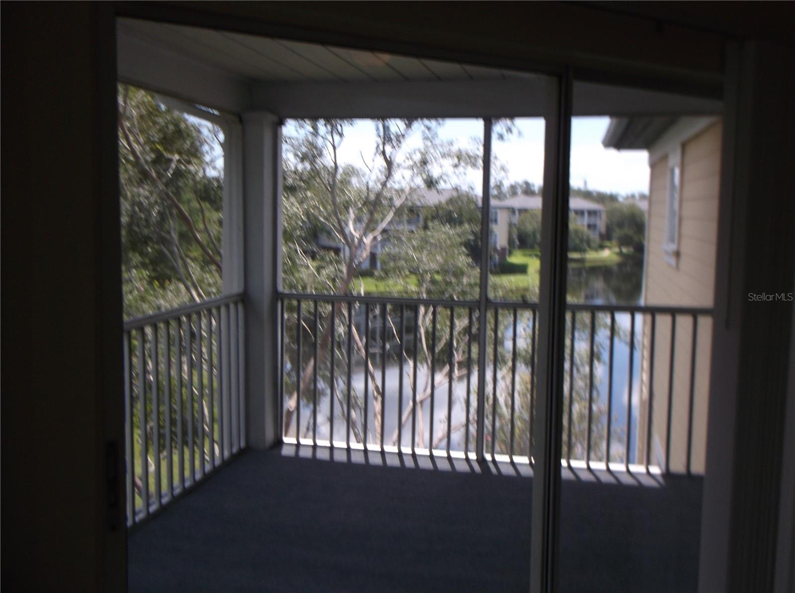10122 WINSFORD OAK BLVD #419, TAMPA, FL, 33624