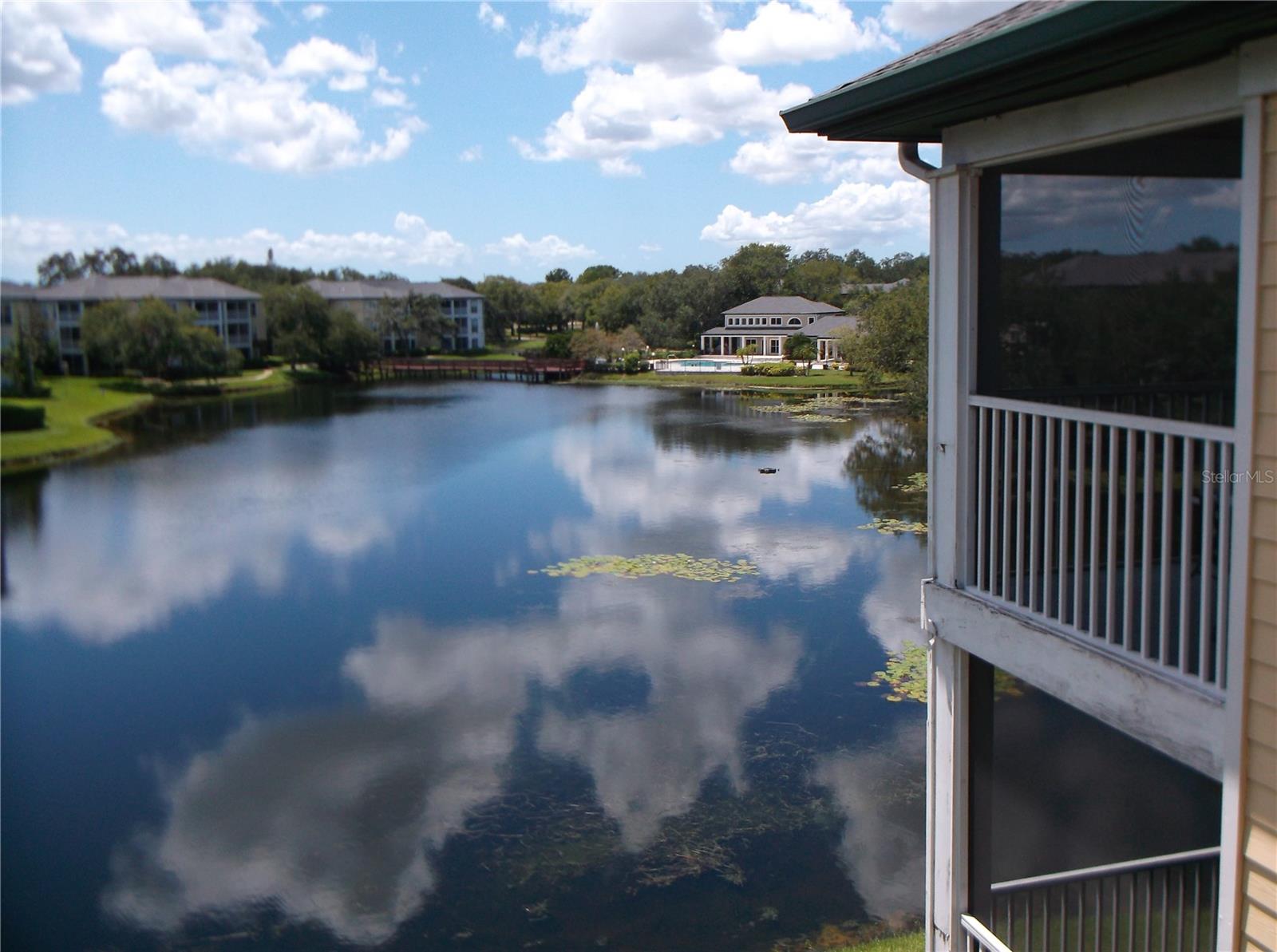 10122 WINSFORD OAK BLVD #419, TAMPA, FL, 33624