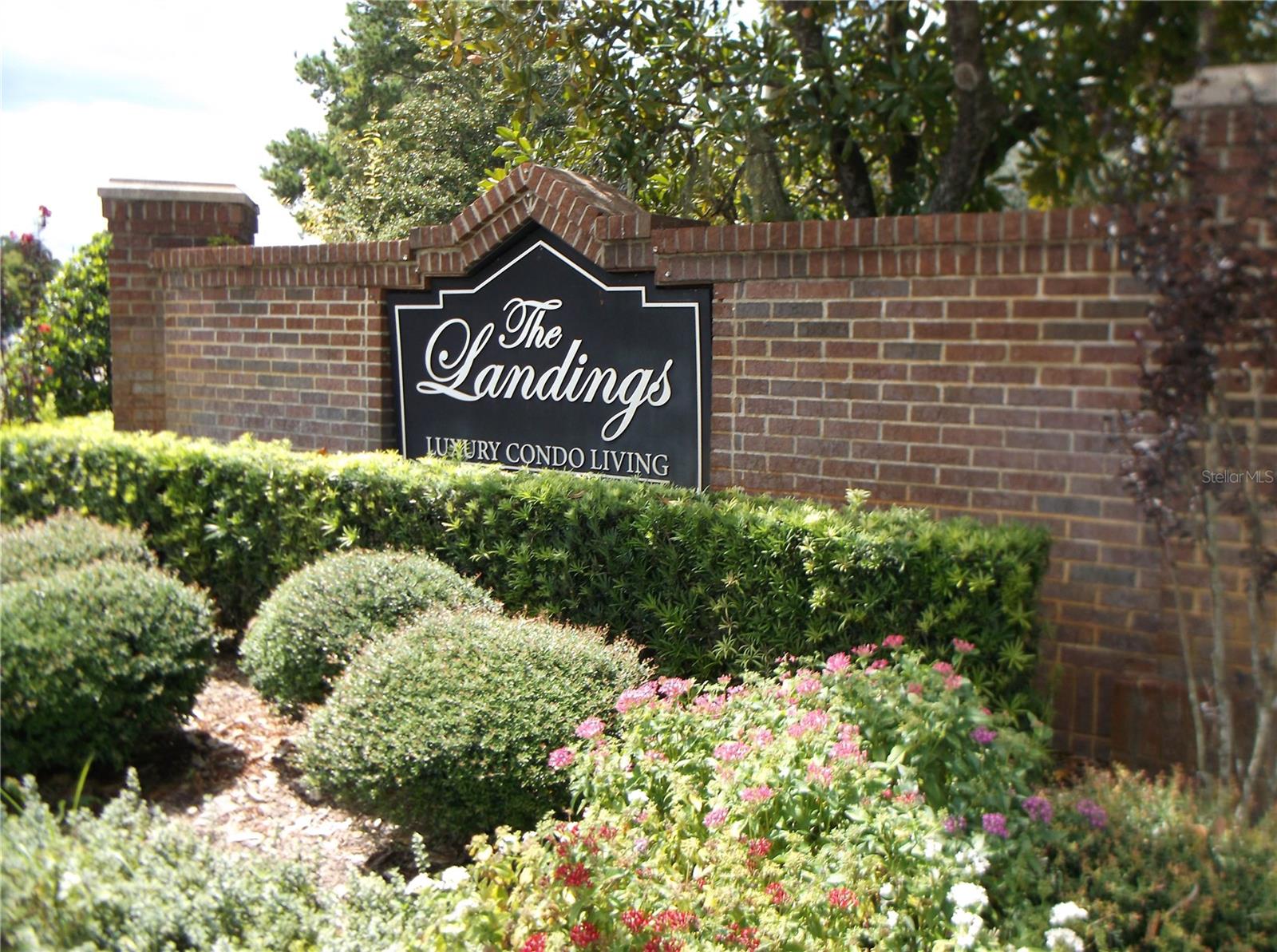 10122 WINSFORD OAK BLVD #419, TAMPA, FL, 33624