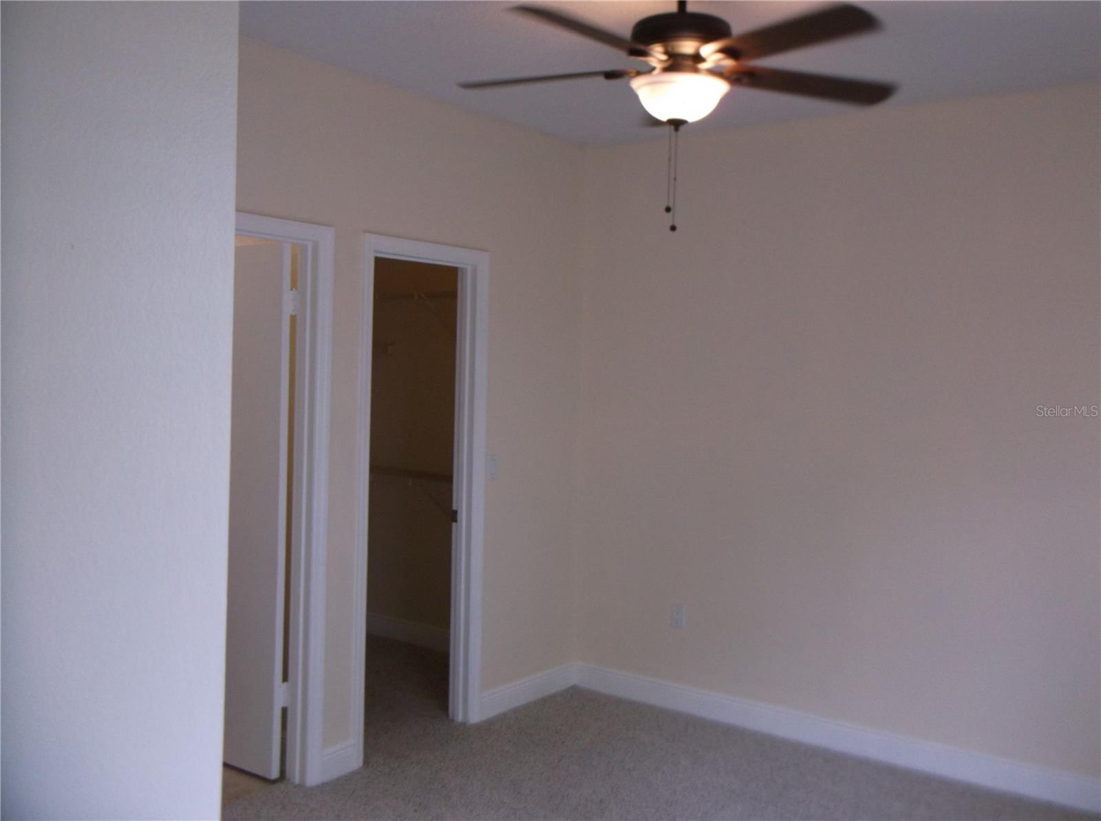 10122 WINSFORD OAK BLVD #419, TAMPA, FL, 33624