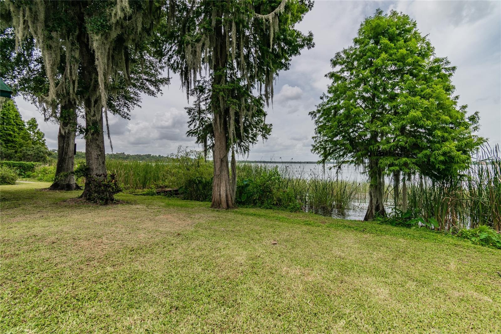 11401 THONOTOSASSA RD, THONOTOSASSA, FL, 33592
