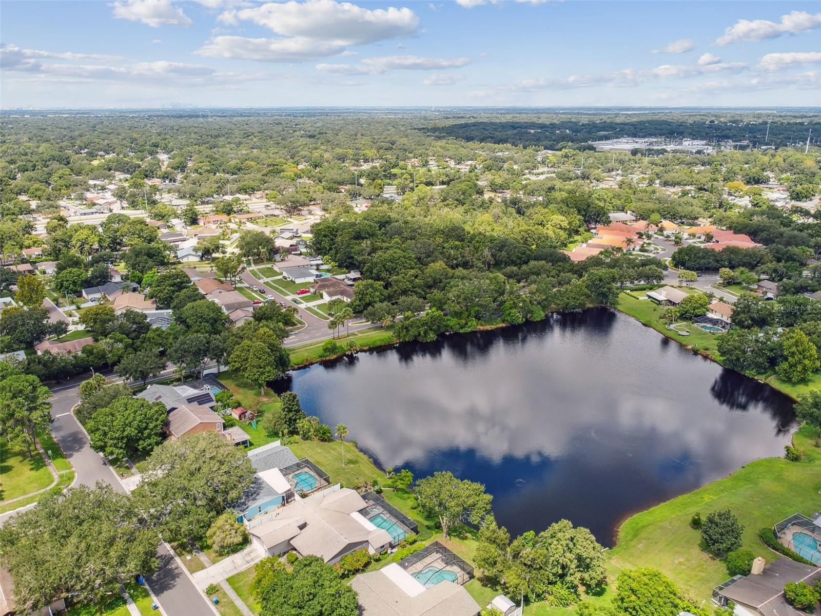3925 DUNAIRE DR, VALRICO, FL, 33596