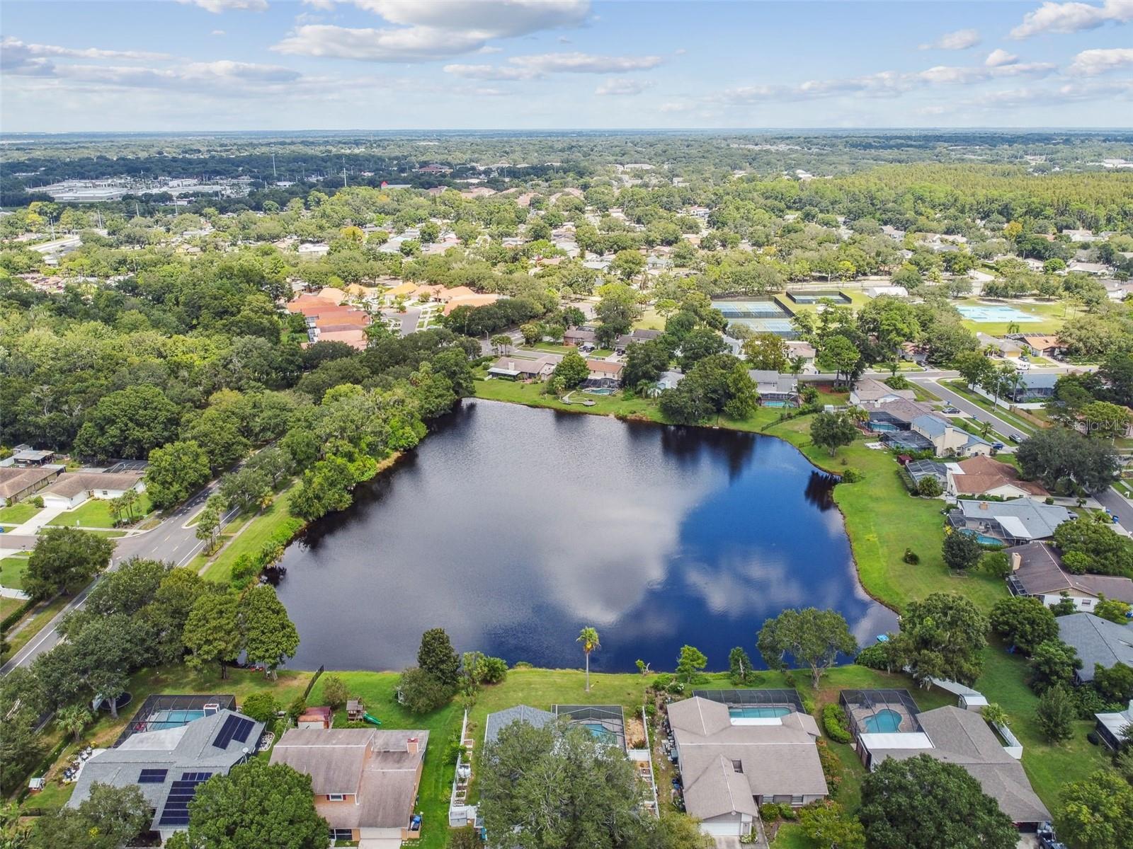 3925 DUNAIRE DR, VALRICO, FL, 33596