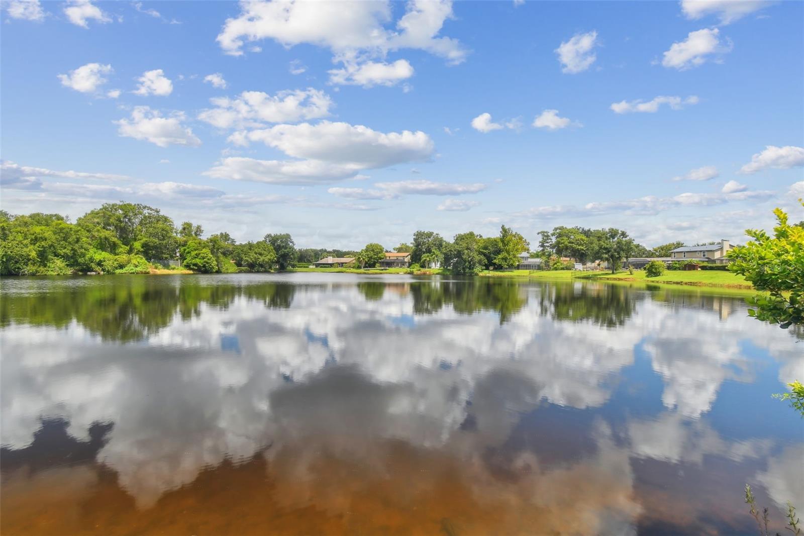 3925 DUNAIRE DR, VALRICO, FL, 33596