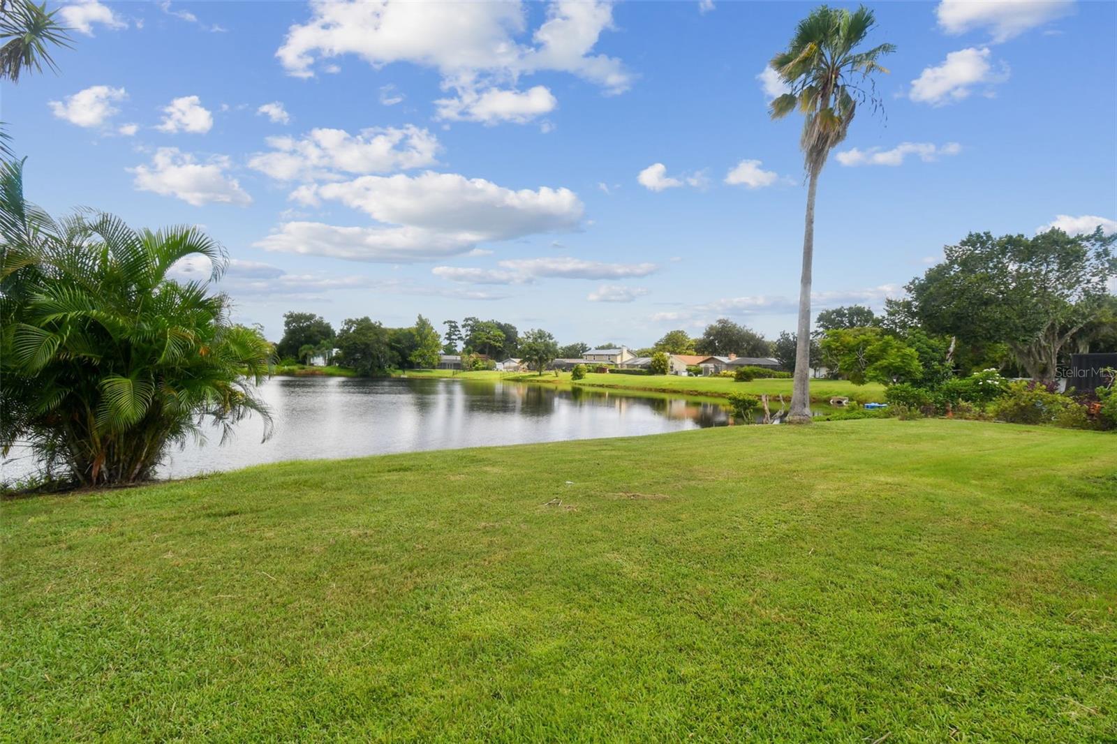 3925 DUNAIRE DR, VALRICO, FL, 33596