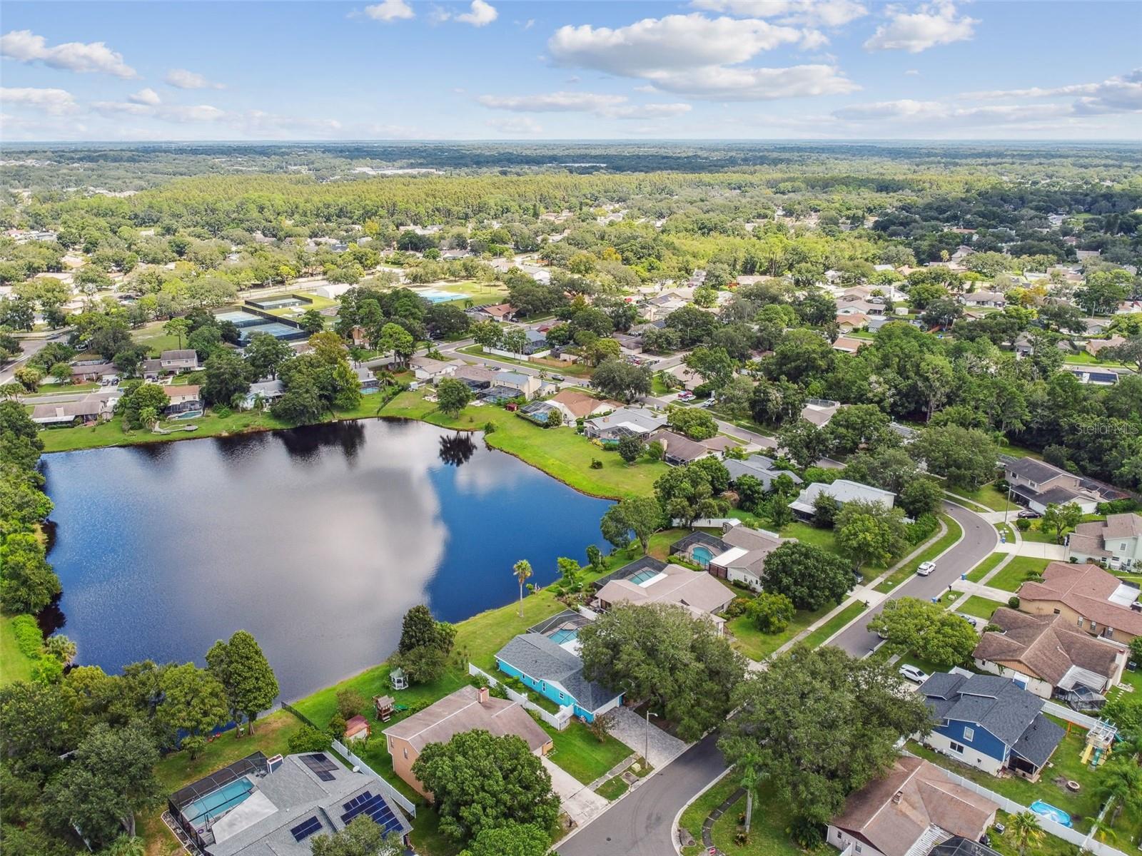 3925 DUNAIRE DR, VALRICO, FL, 33596