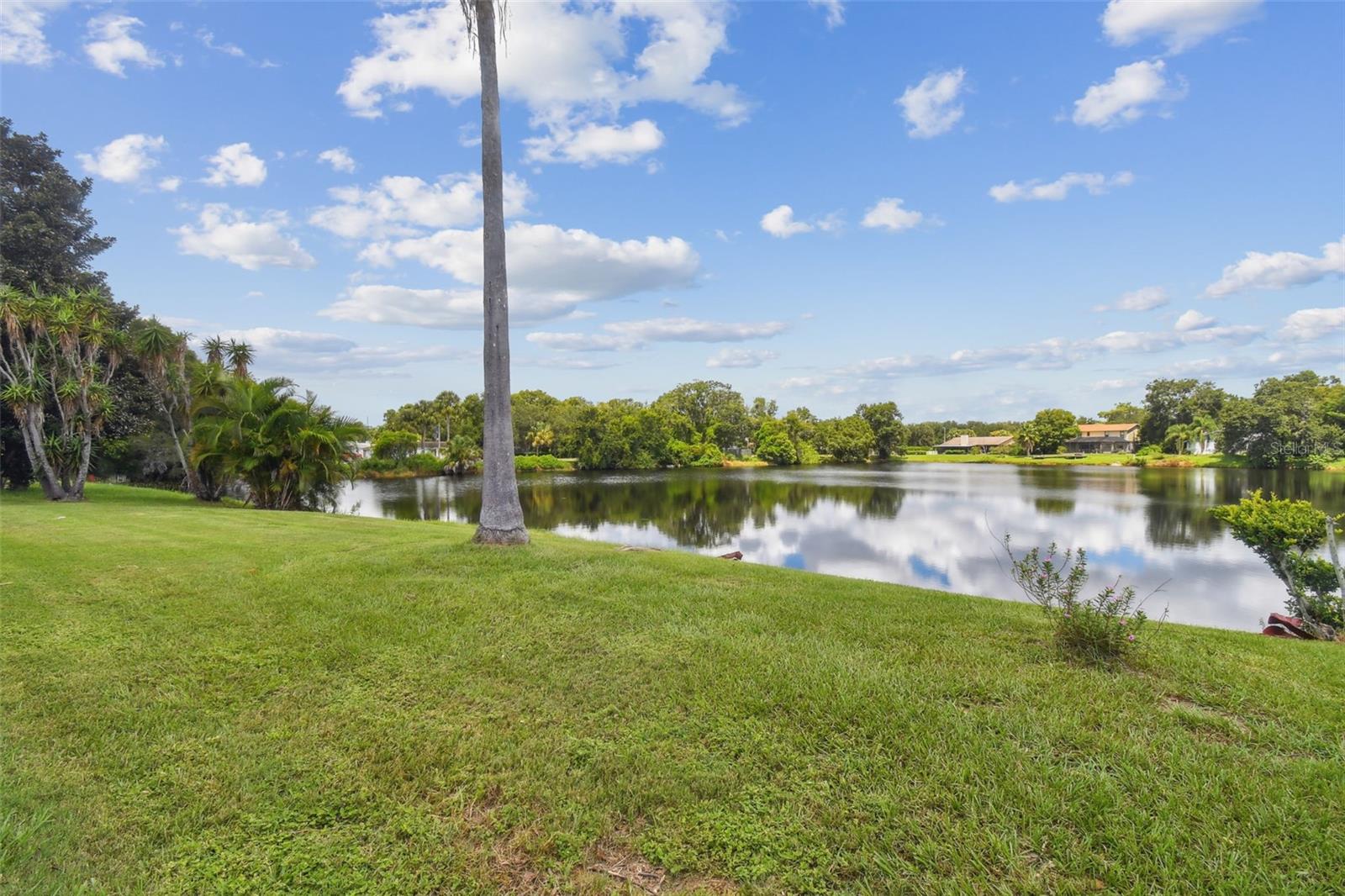 3925 DUNAIRE DR, VALRICO, FL, 33596