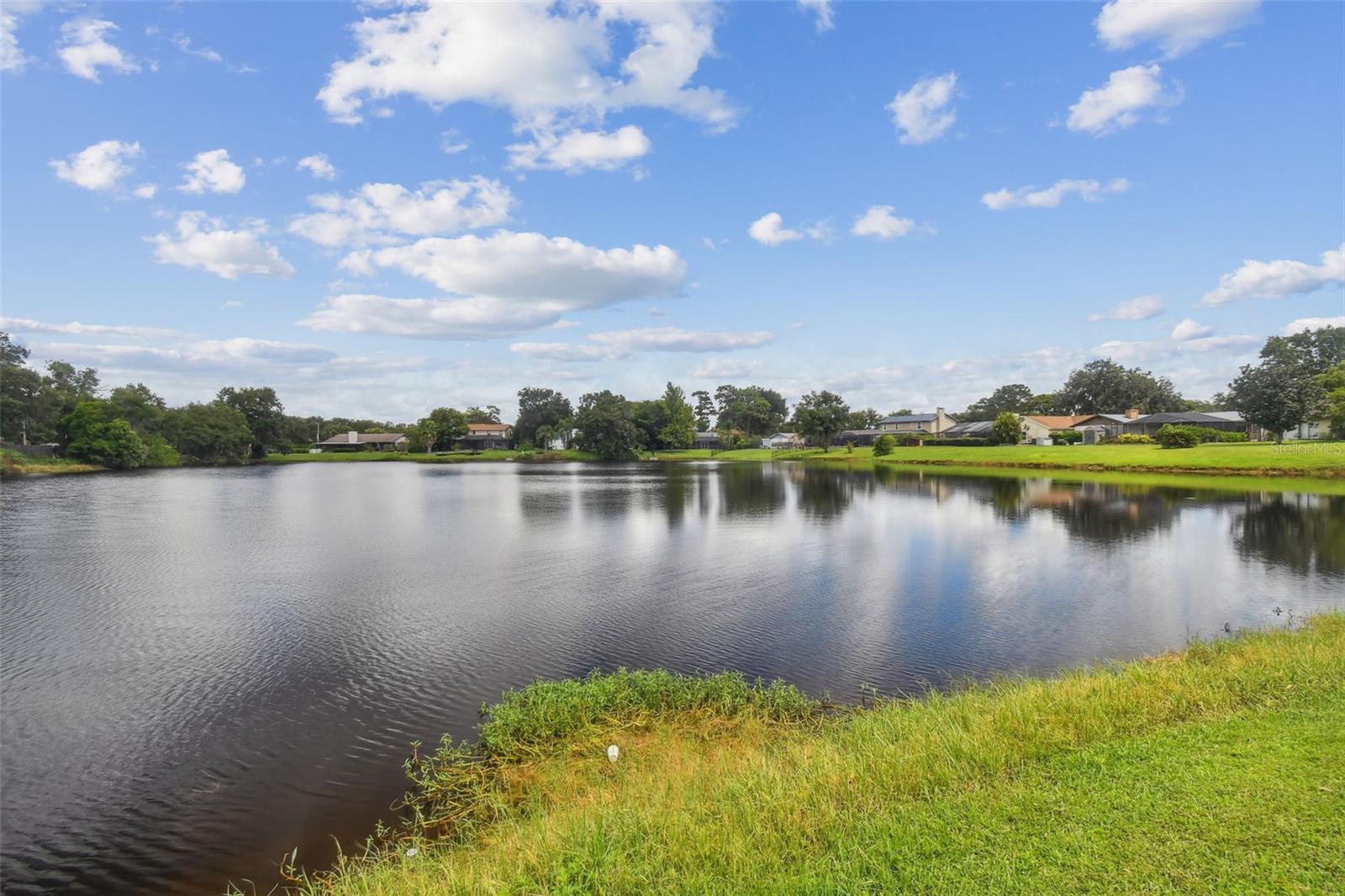 3925 DUNAIRE DR, VALRICO, FL, 33596